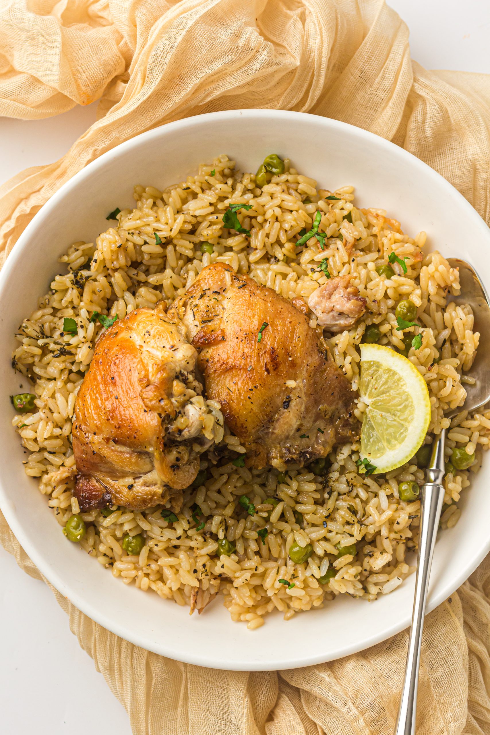 Instant Pot Chicken and Rice - Timeless Dishes