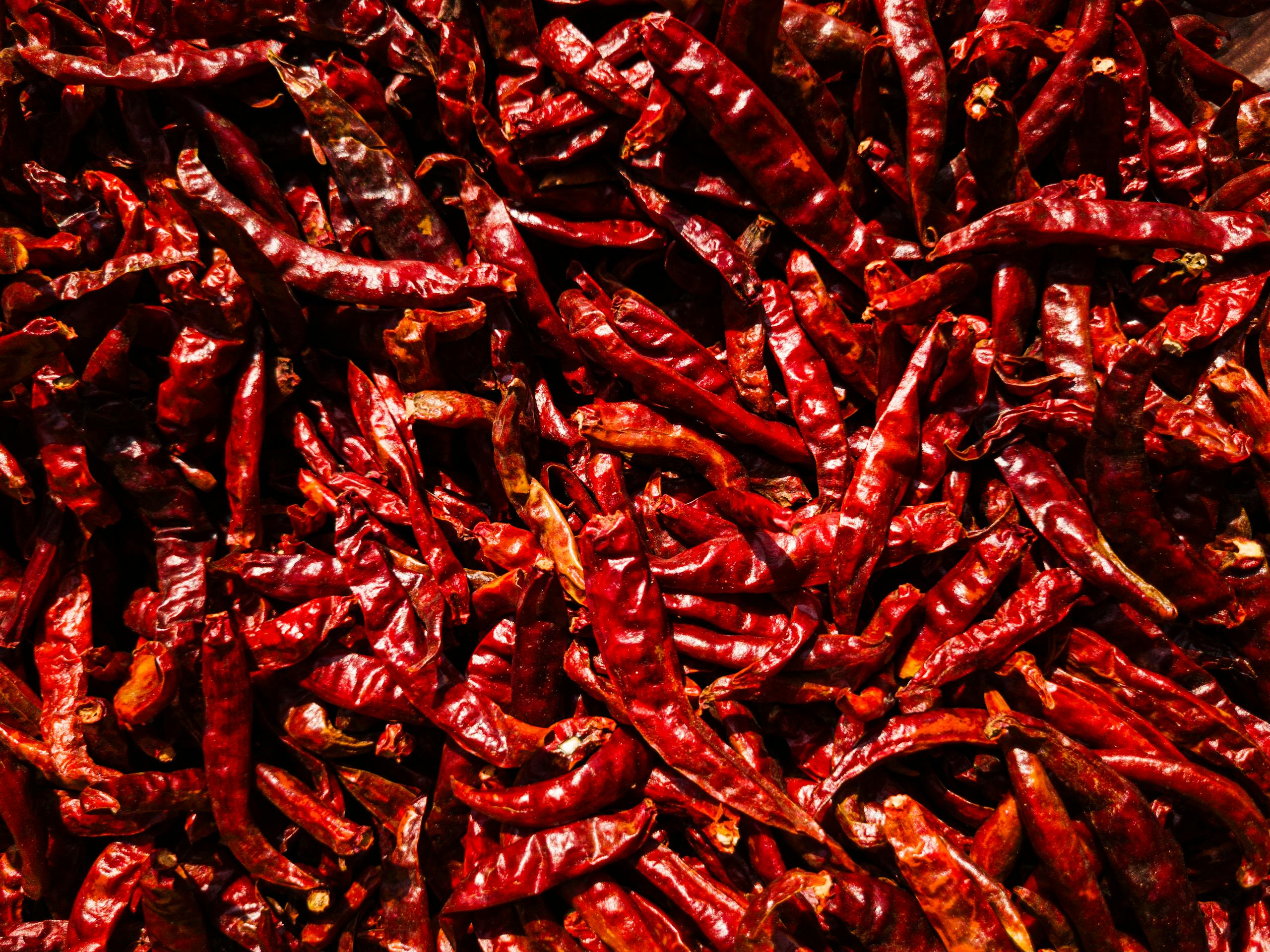 A close-up of vibrant red chili peppers showcasing their spicy and colorful texture in Jhanjra, India.
