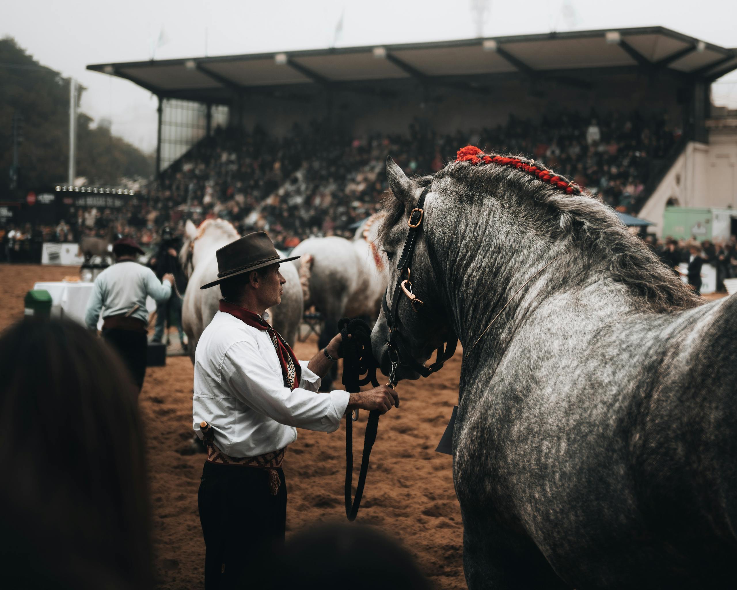 A cowboy guides a horse at a crowded outdoor equestrian event, showcasing a traditional lifestyle.