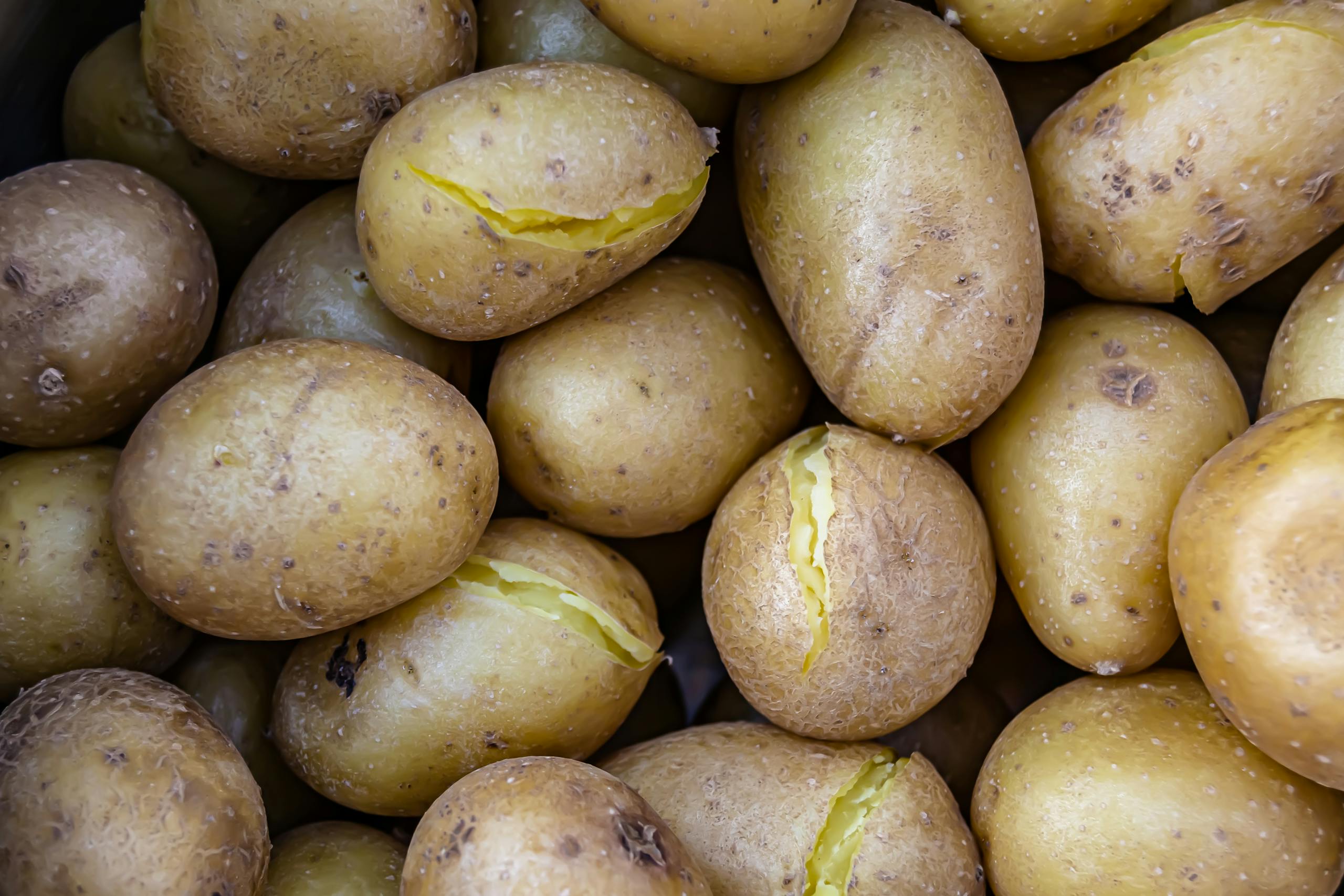 A detailed view of cooked yellow potatoes with cracked skin, showcasing texture and freshness.