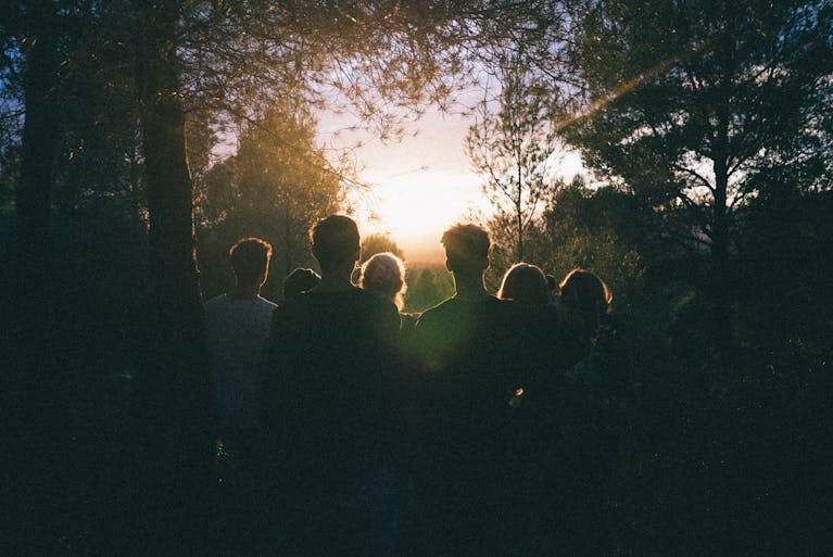 A group of friends enjoying a scenic sunset in a forest, capturing a moment of togetherness.
