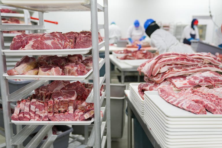 10 Devastating Ways the Meat Industry Harms the Planet 