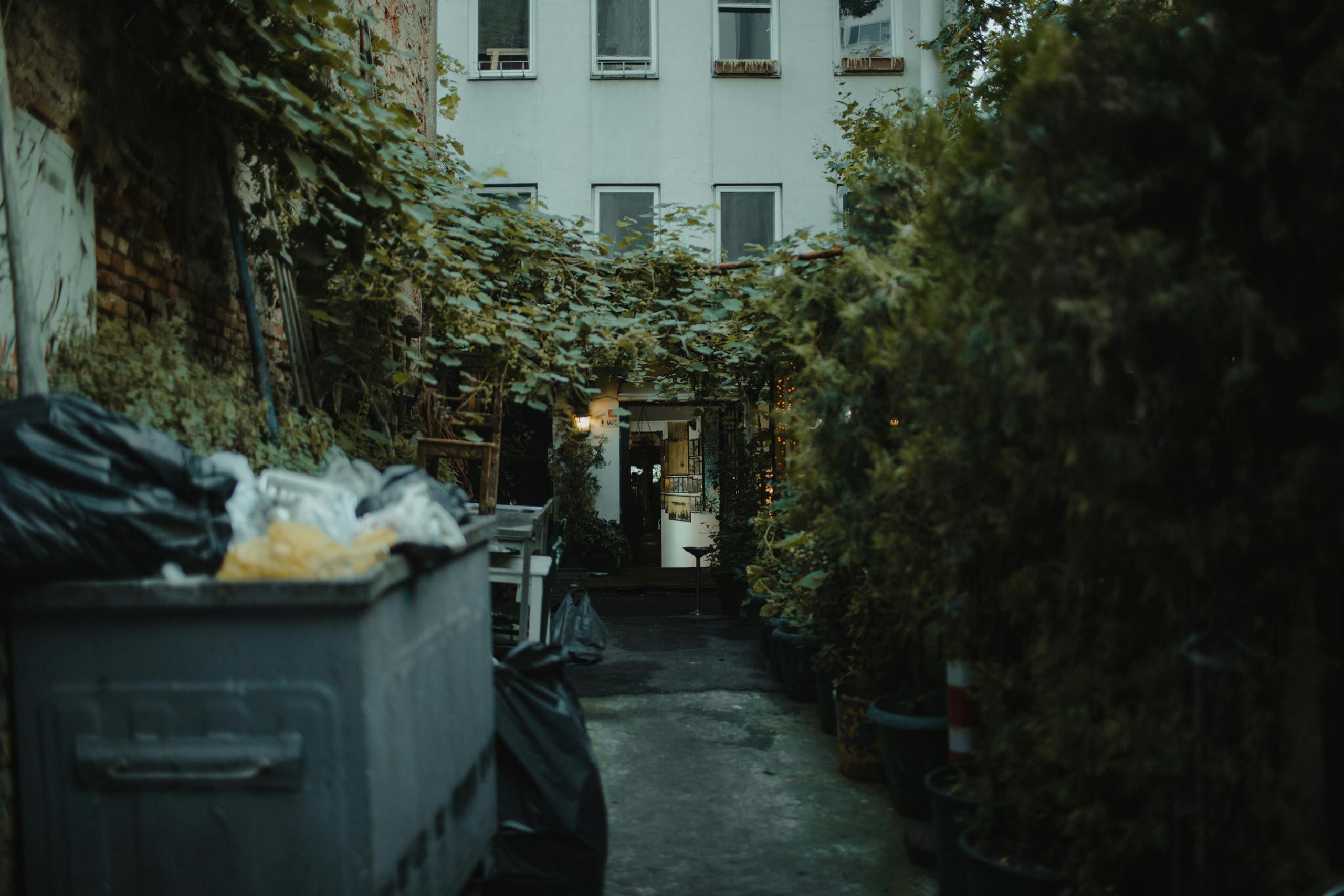 A moody urban courtyard in İstanbul with greenery and visible trash bins.