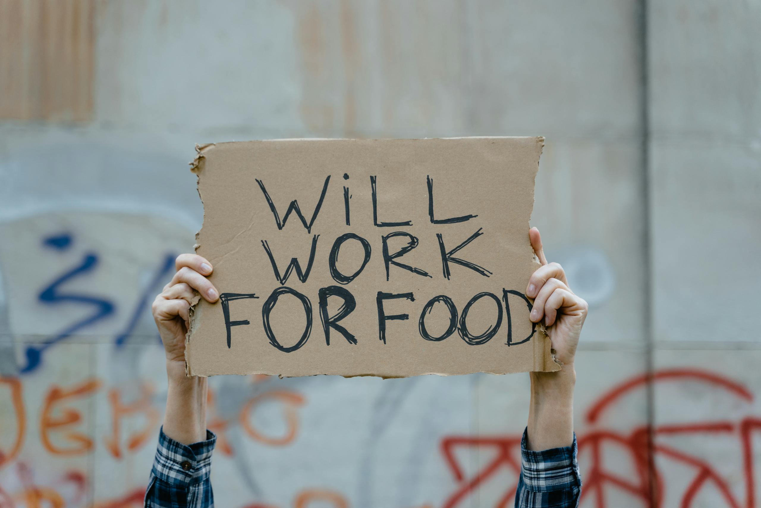 A person holds a cardboard sign reading 'Will Work for Food' against a graffiti-covered wall.