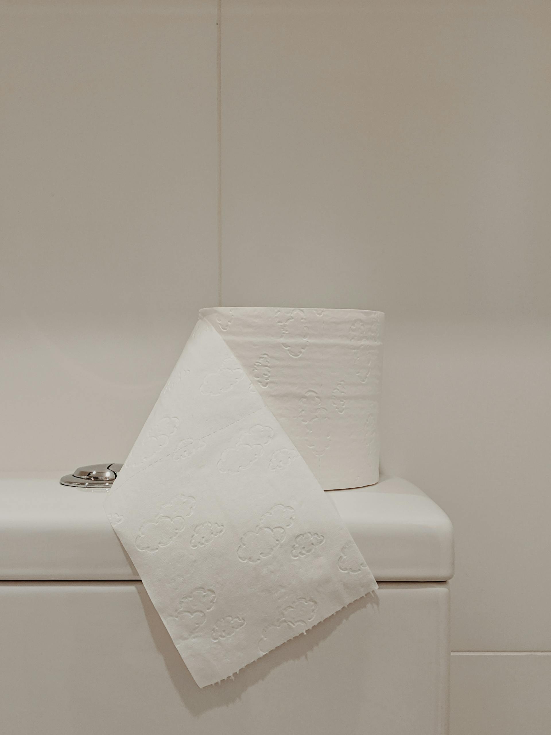 A roll of white toilet paper elegantly displayed on a clean bathroom surface, exuding simplicity.