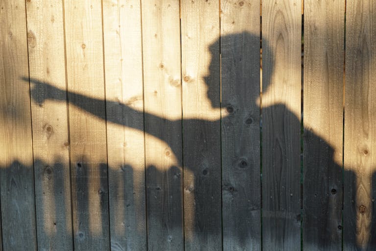 A shadow of a person pointing is cast on a wooden fence in warm sunlight, creating a striking silhouette.