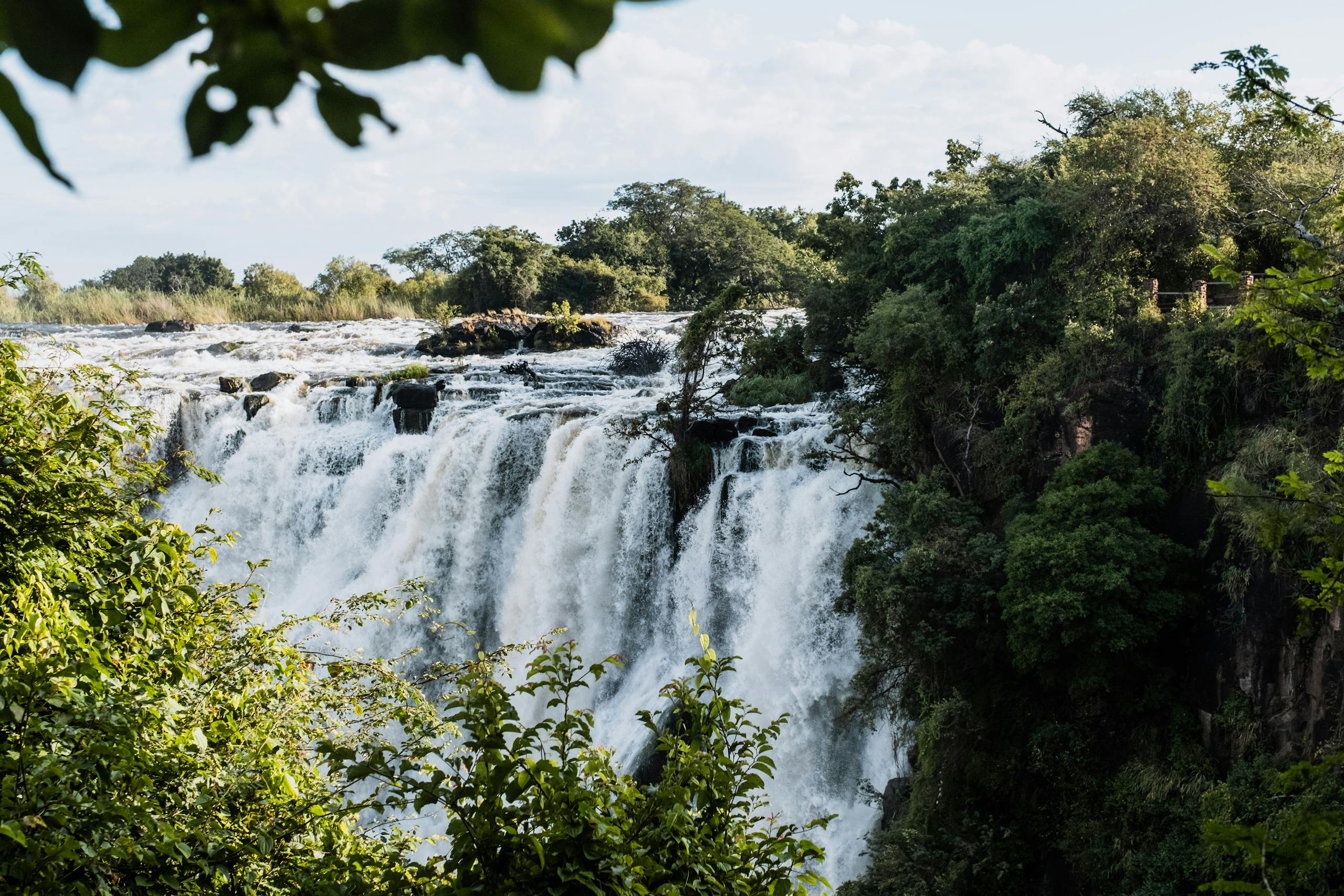 A stunning view of a waterfall cascading surrounded by dense forest.
