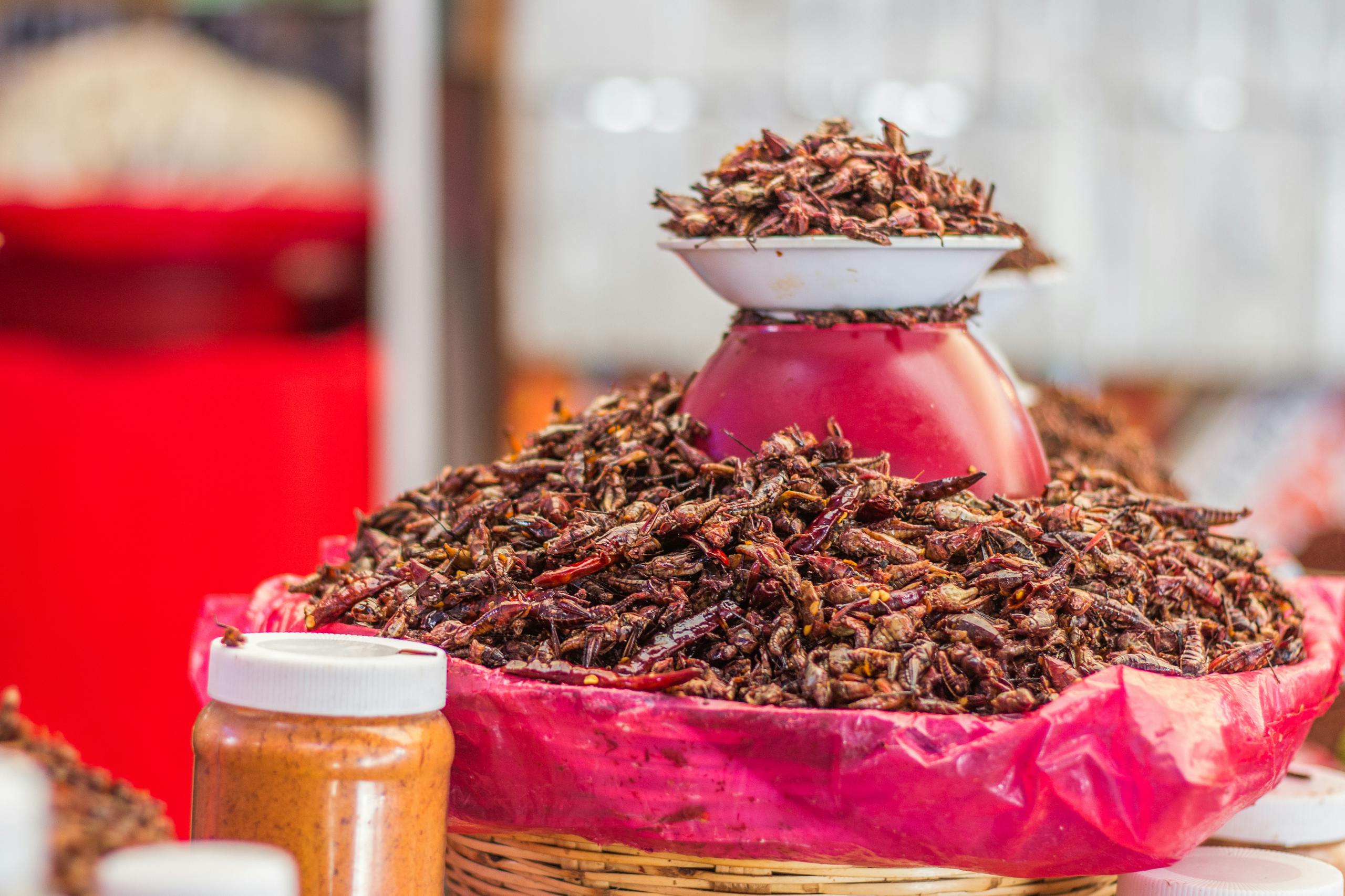 A vibrant display of edible insects in a market setting, ready for purchase.