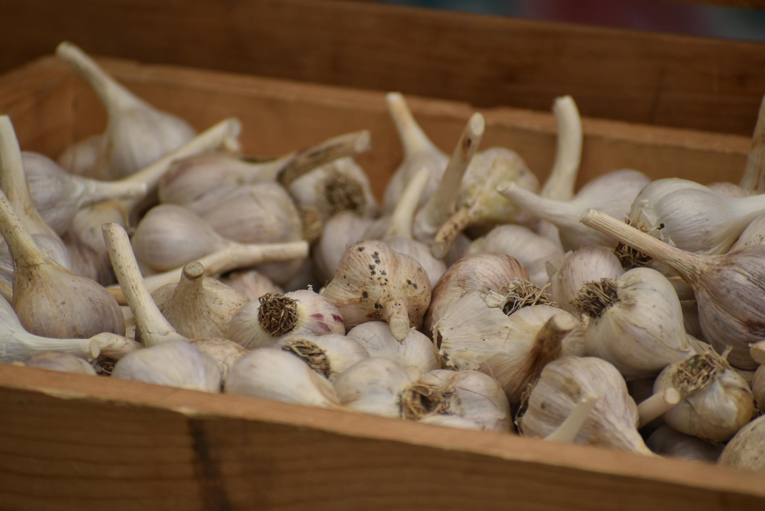 Close-up of fresh garlic bulbs in a wooden crate, highlighting their texture and organic feel.
