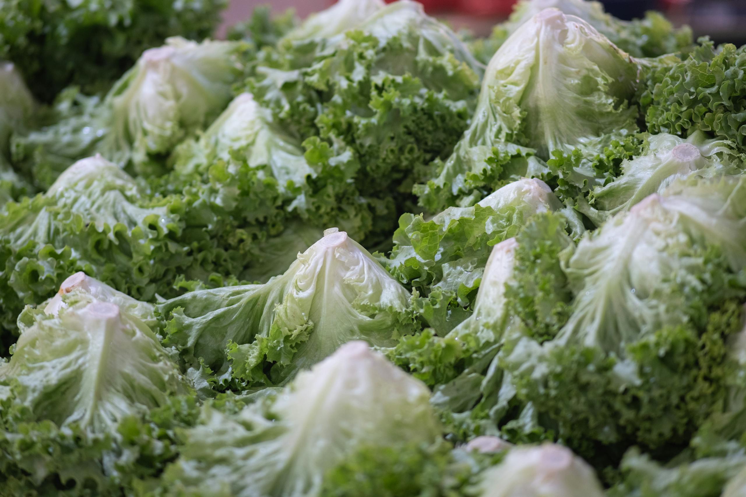 Close-up of fresh iceberg lettuce heads at Bornova market in İzmir, T&uuml;rkiye.