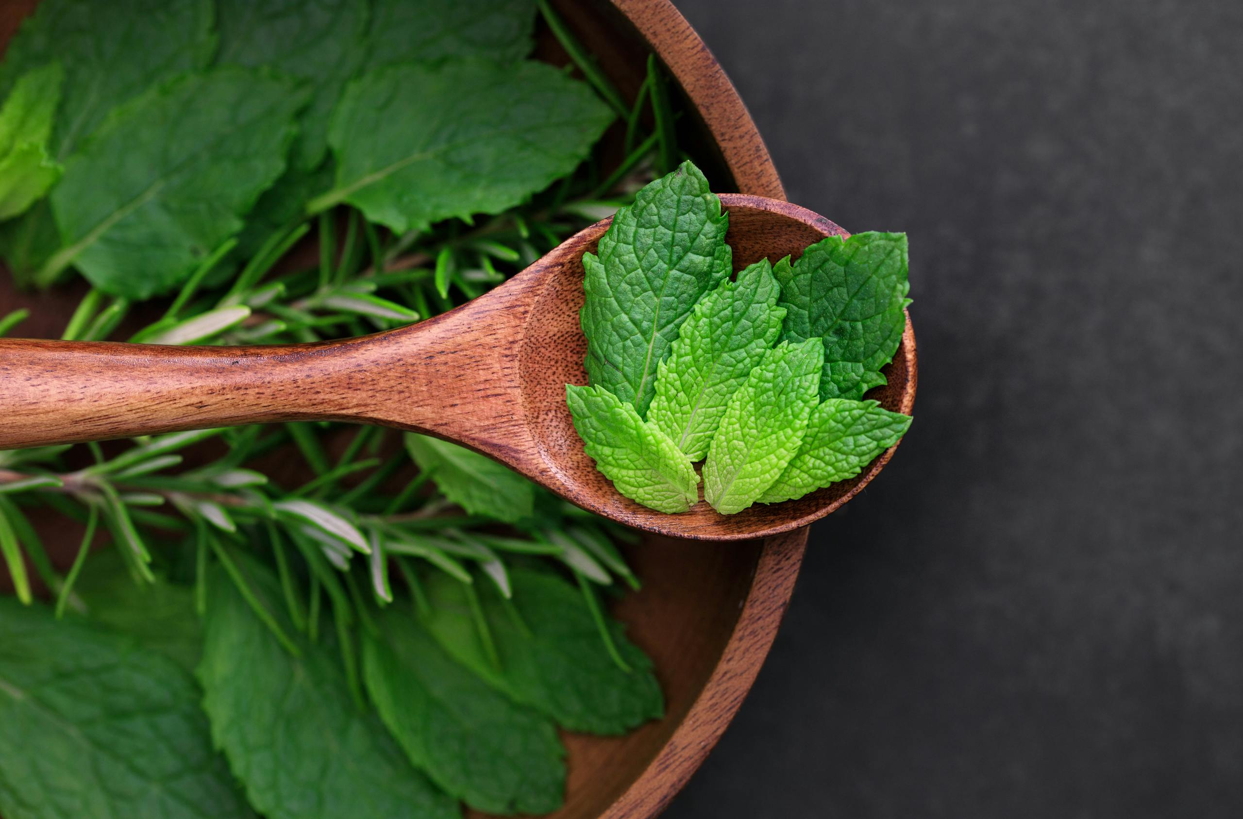 Close-up of fresh mint leaves in a wooden spoon surrounded by herbs. Ideal for culinary and organic themes.