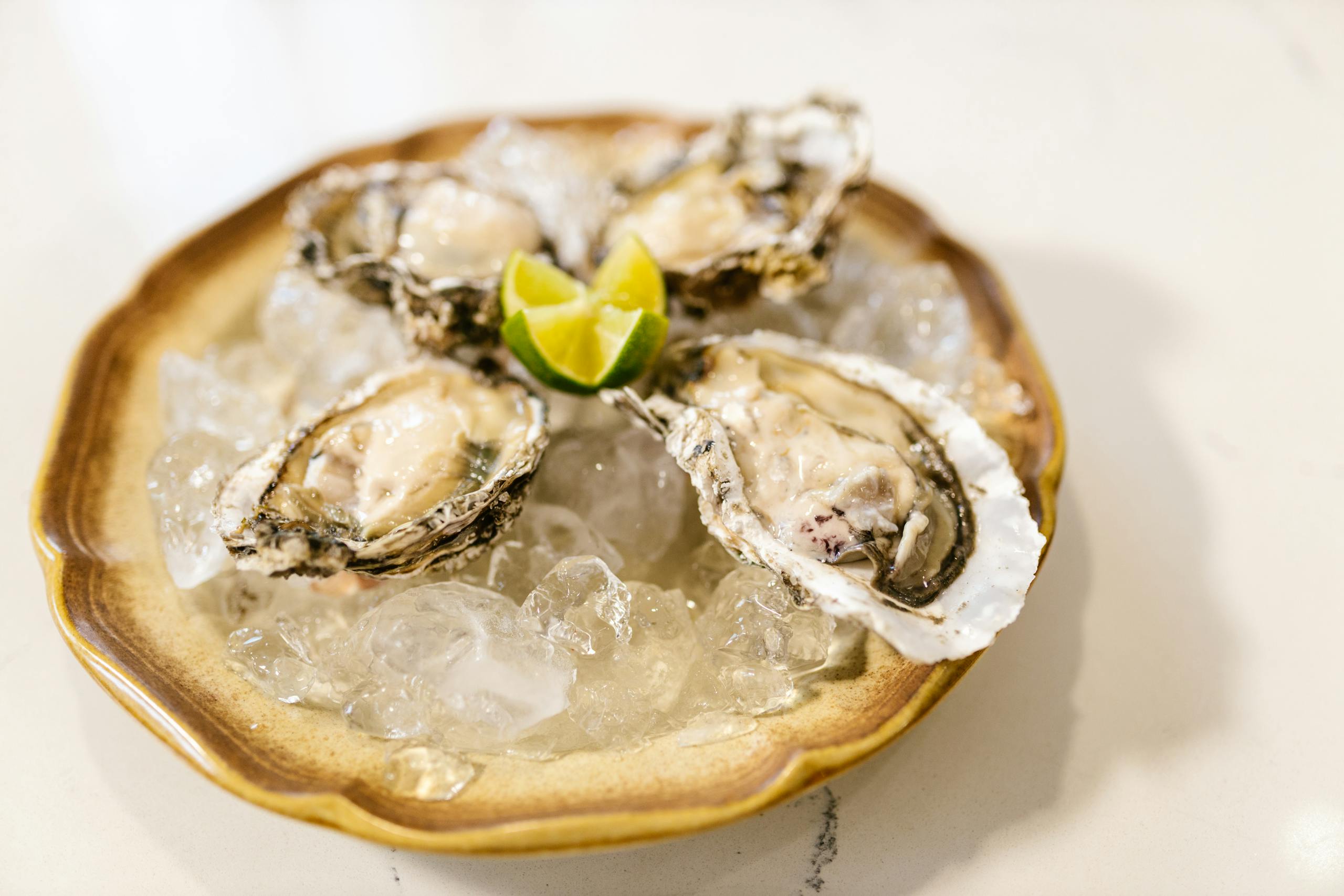 Close-up of fresh oysters served on ice with a slice of lime, gourmet seafood dish.