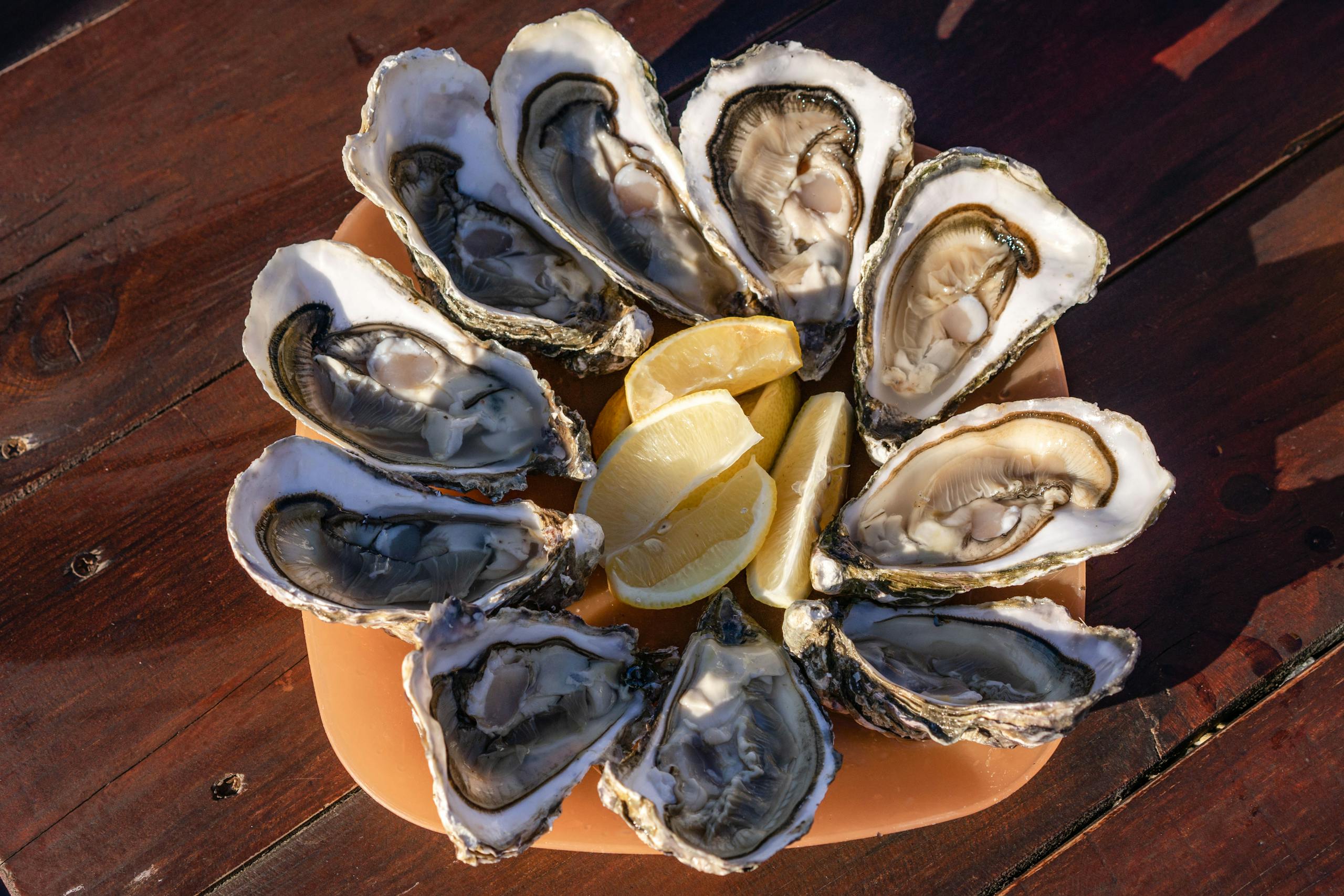 Close-up of fresh oysters served with lemon slices on a wooden table.