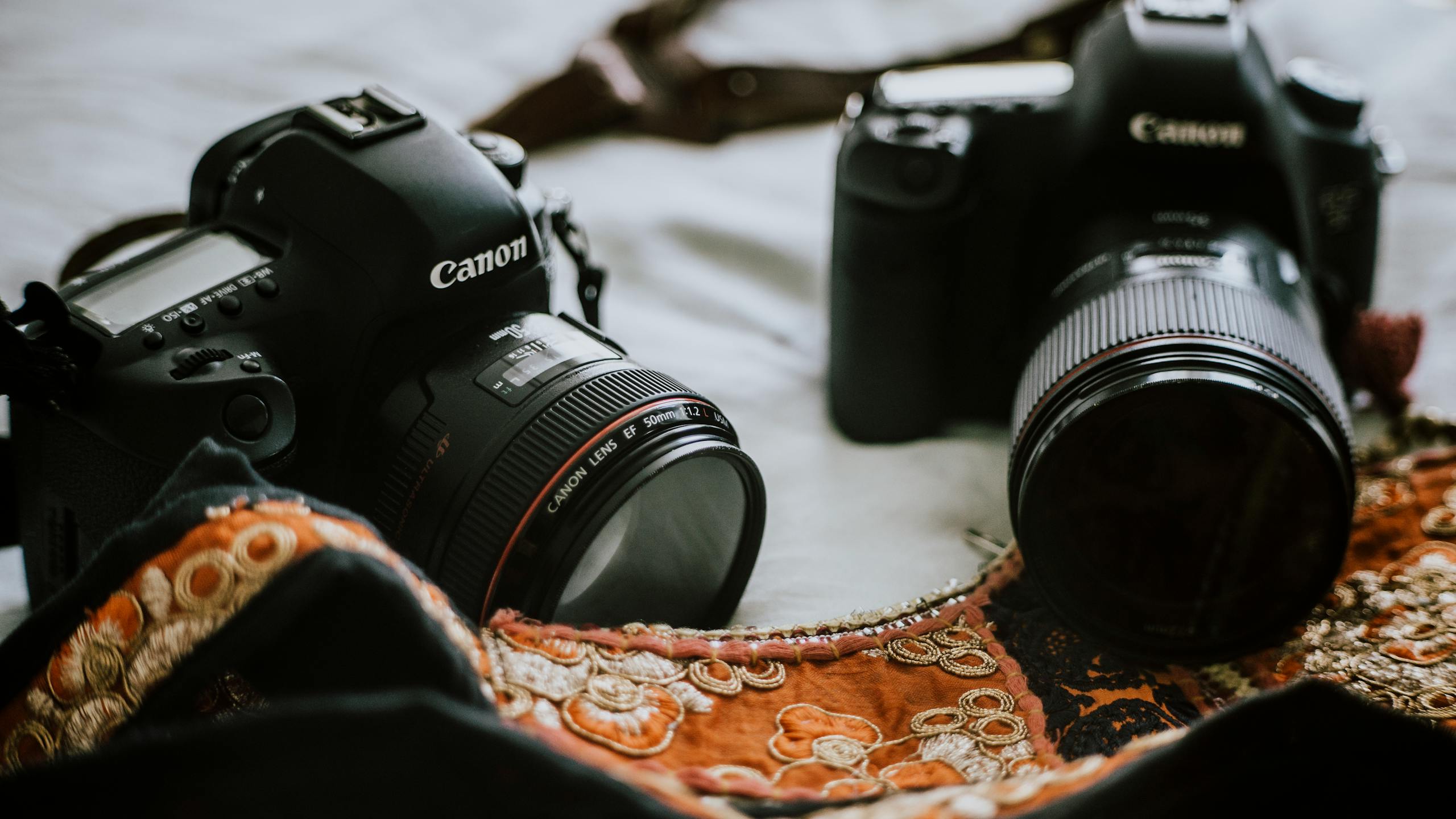 Close-up shot of two high-end DSLR cameras with lenses, ideal for photography professionals.