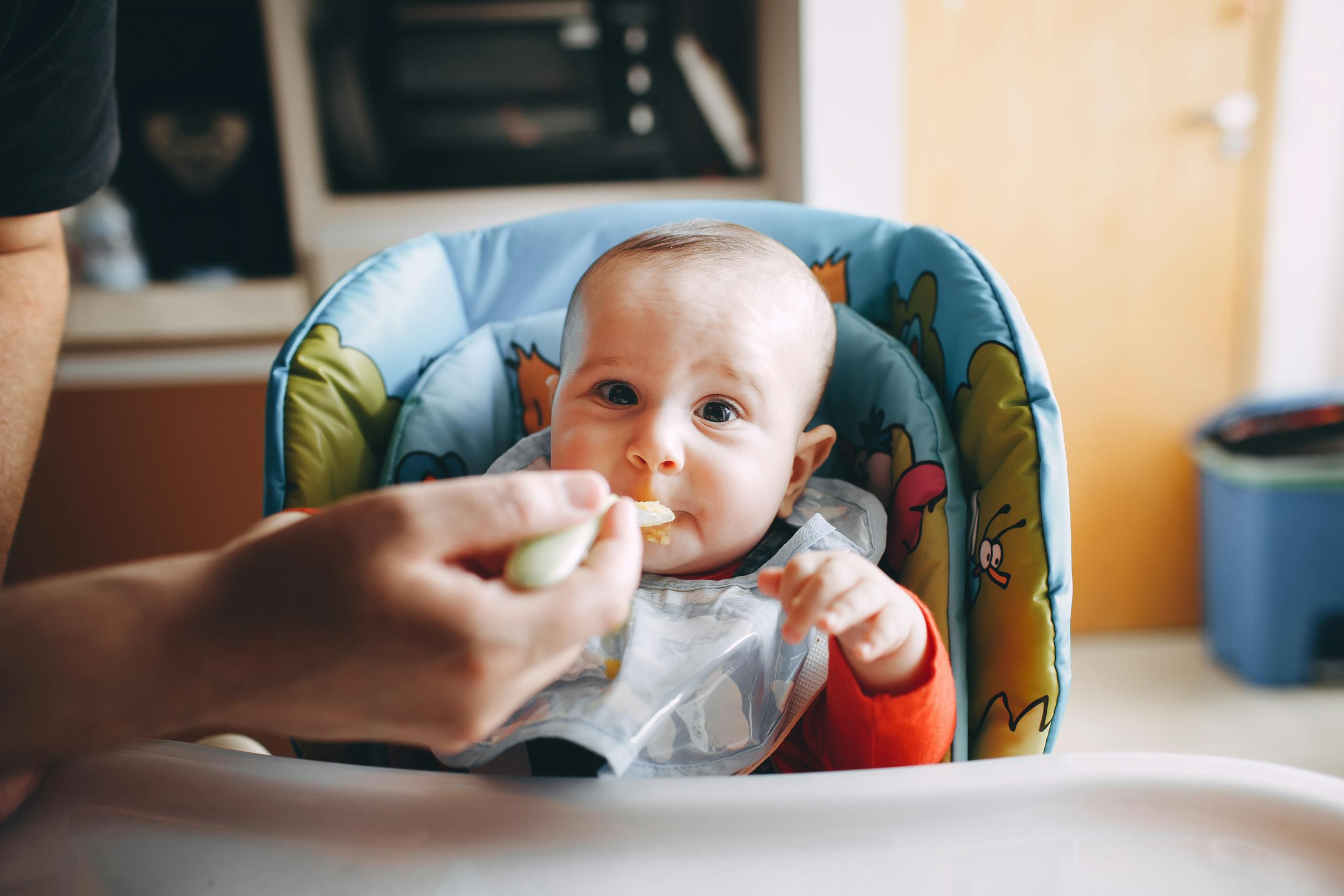 Crop person feeding baby with bib sitting in feeding chair and looking at camera