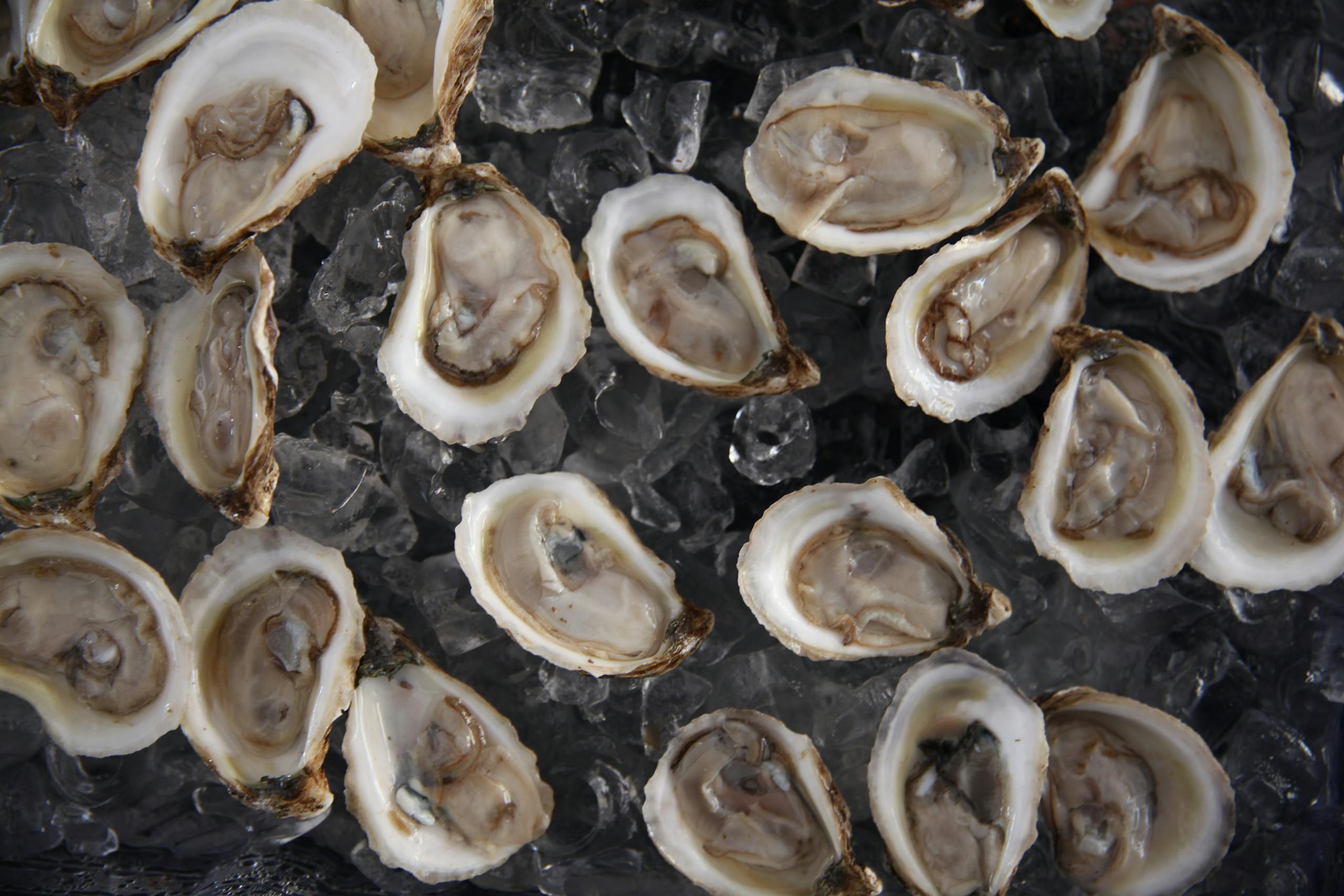 Delicious fresh oysters served on ice, showcasing seafood cuisine in Austin.