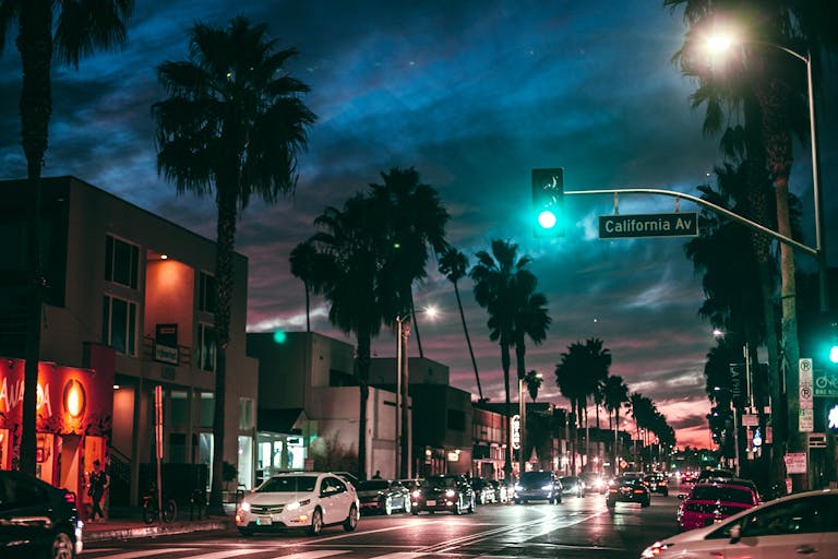 Illuminated busy city road with cars and traffic lights between modern buildings and rows of high palms at night