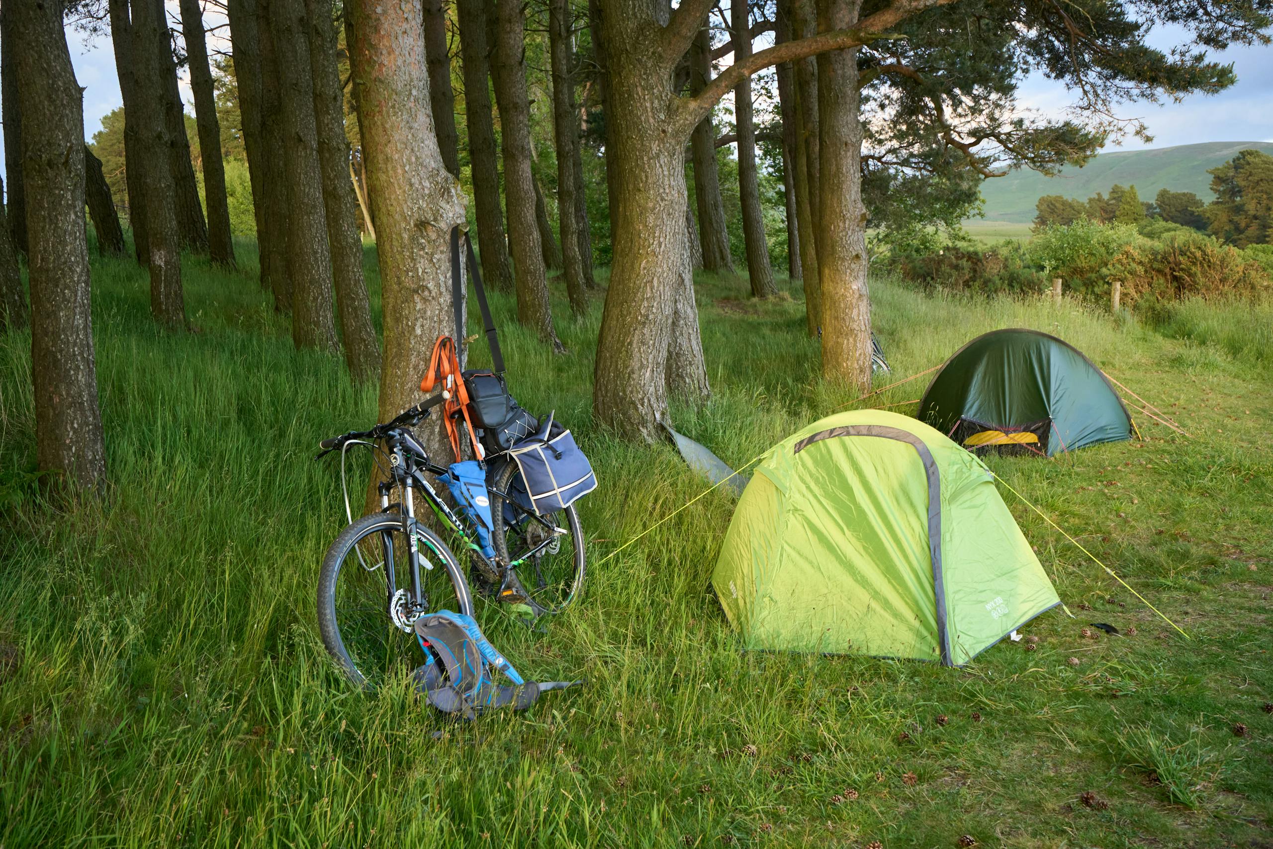 Peaceful camping scene with two tents and a bicycle under trees in the countryside.