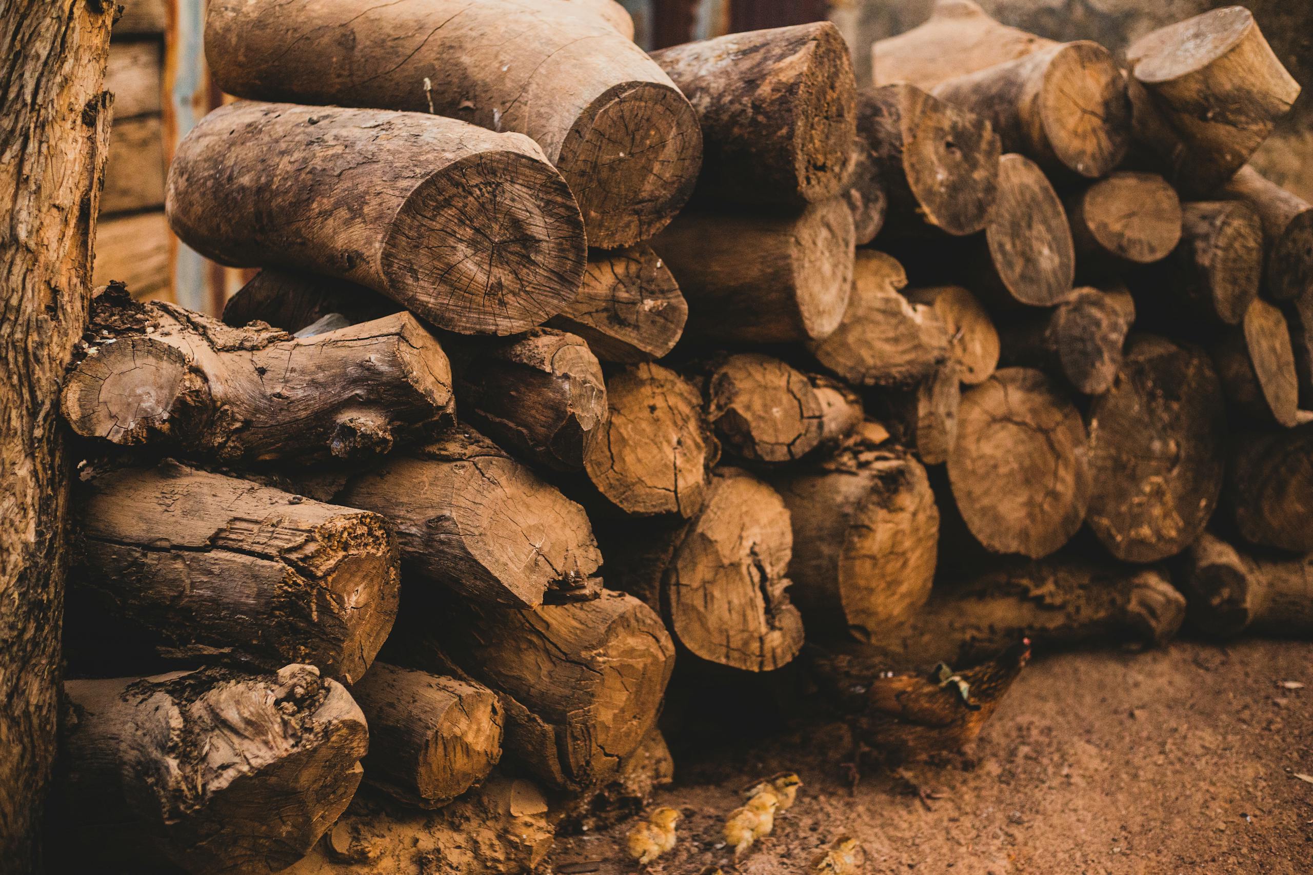 Pile of brown chopped firewood logs stacked outdoors, suitable for rustic themes.
