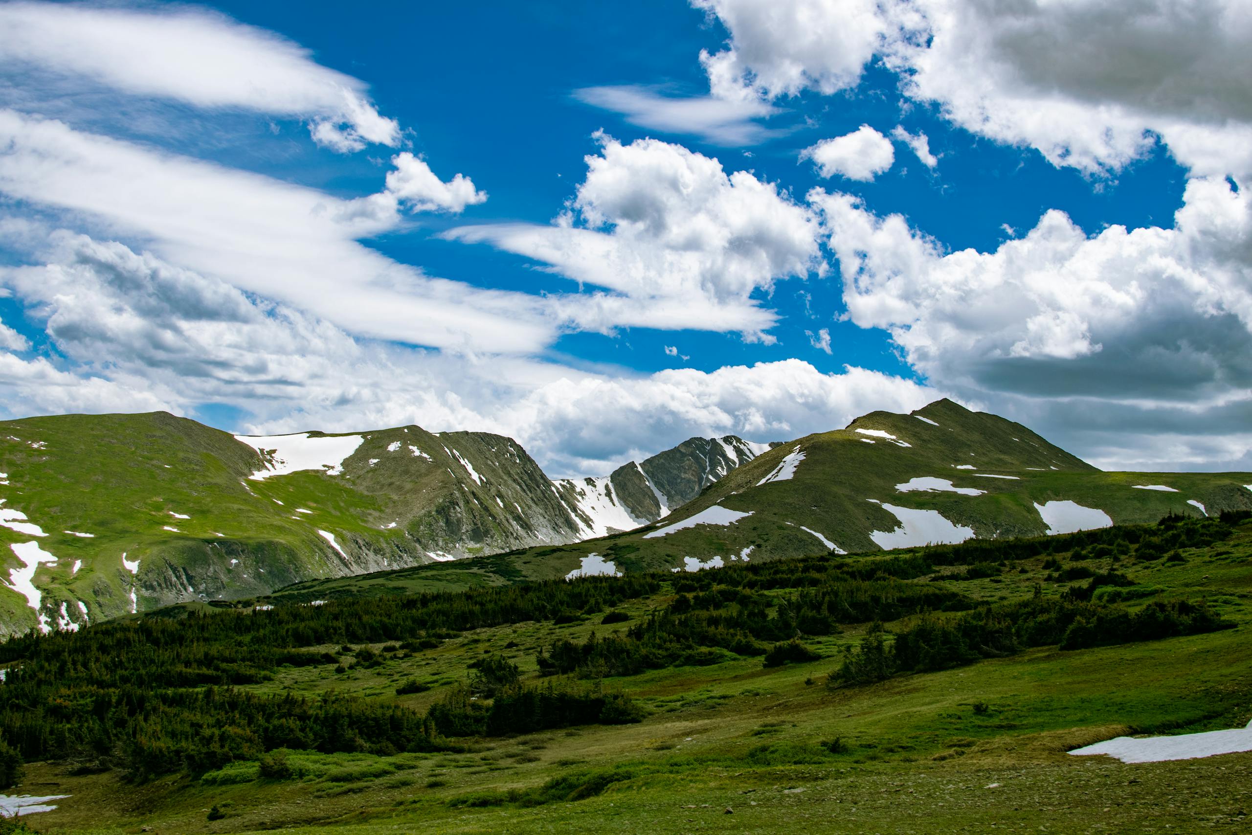 Scenic view of mountains under a clear blue sky with lush greenery, near Denver, CO.