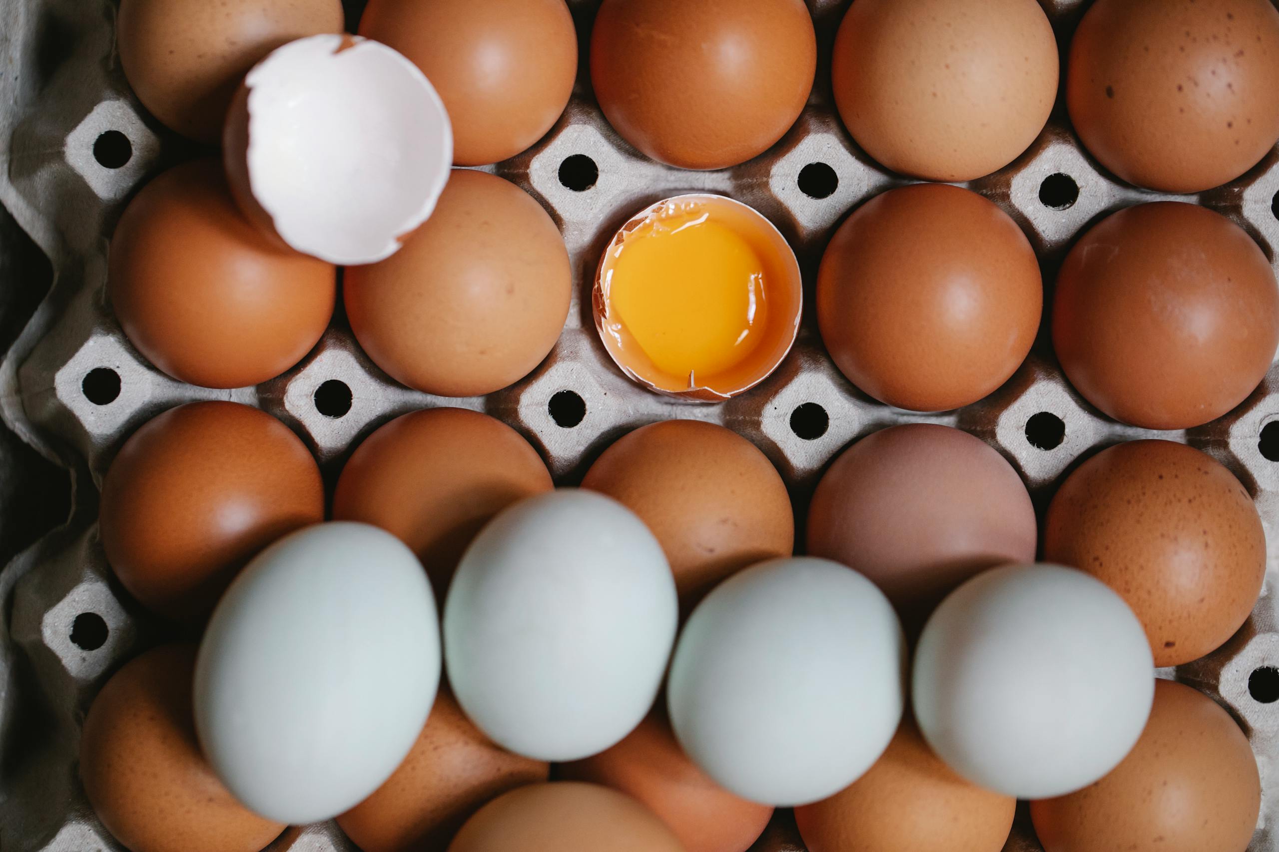 Top view of yolk in broken eggshell among whole eggs in carton container