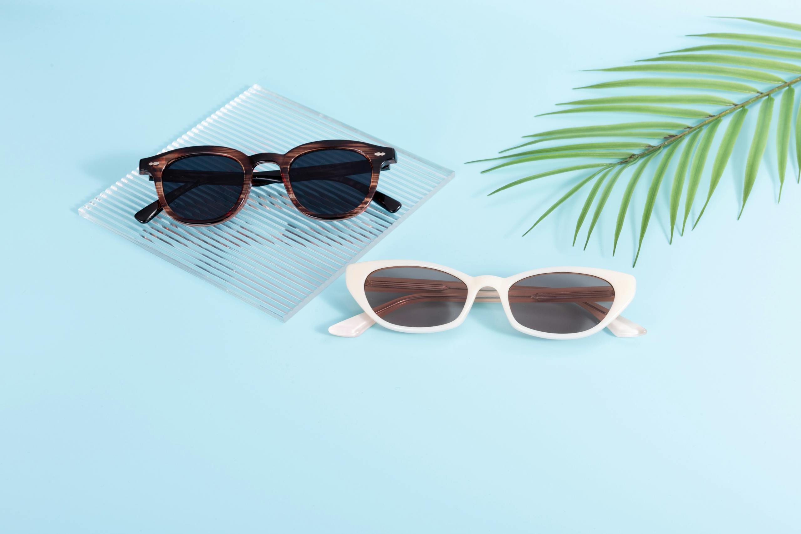 Two trendy pairs of sunglasses on a blue, summery background with a palm leaf accent.