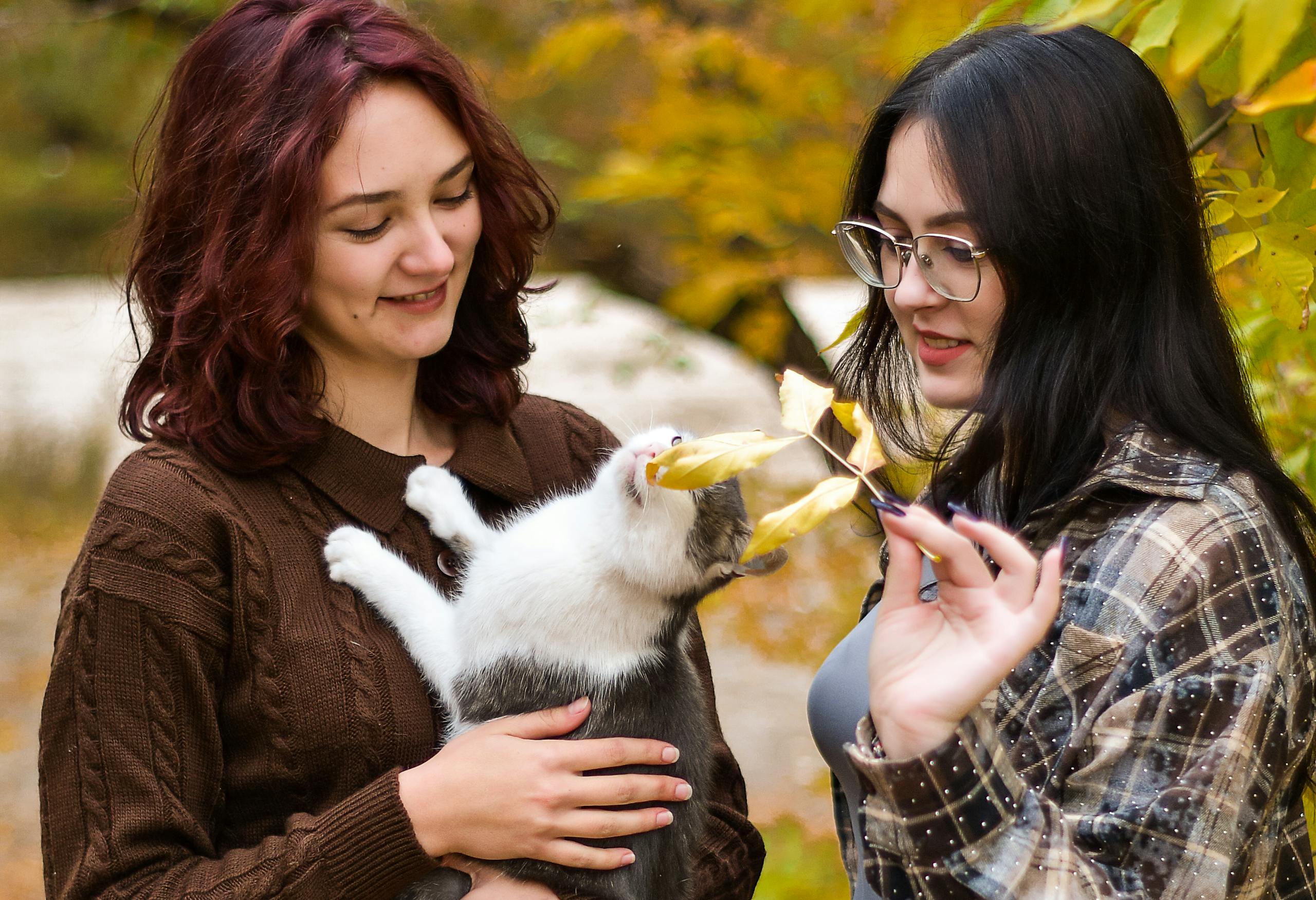 Two women joyfully play with a curious cat amidst vibrant autumn leaves outdoors.