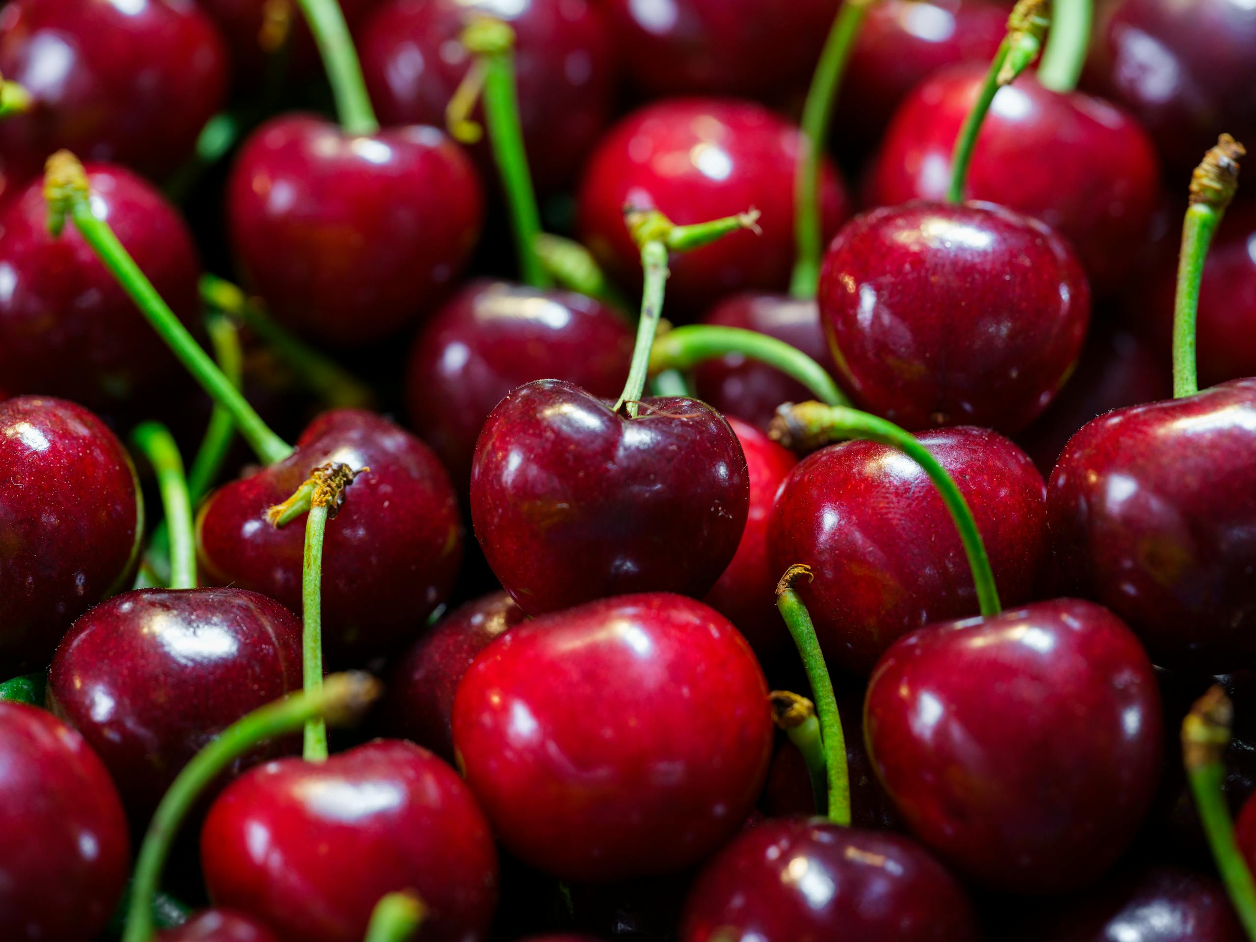 Vibrant close-up of fresh ripe cherries, perfect for healthy eating and summer treats.