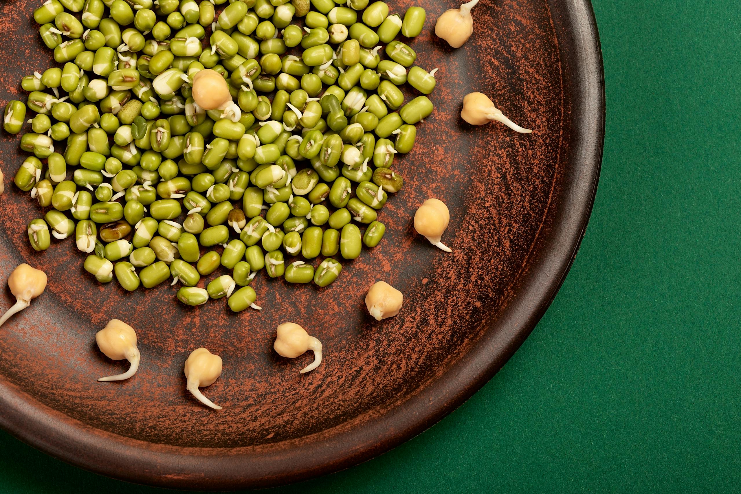 Vibrant sprouted green and chickpeas on a rustic plate. Perfect for healthy eating visuals.