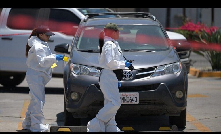Grim Discovery Near World Cup Training Grounds in Mexico Under Investigation 