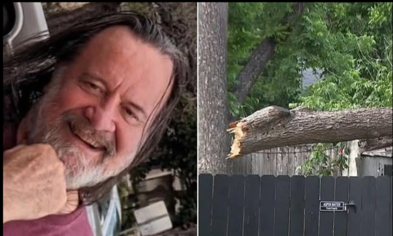 Family Sues After “Widow Maker” Pecan Tree Crushes Texas Father at Austin BBQ Patio