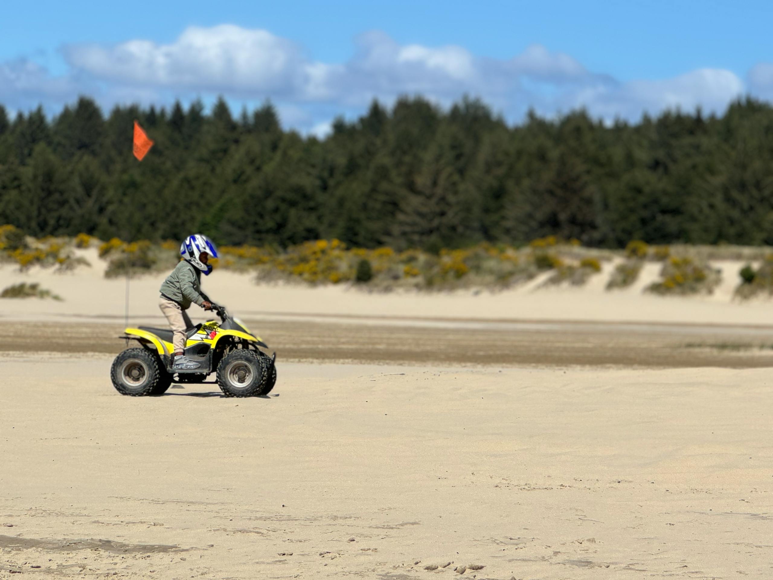 A child enjoys riding an ATV on the scenic sand dunes of Oregon, surrounded by lush forest.