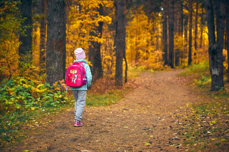 A child walks on a path surrounded by colorful autumn trees, wearing a pink backpack.