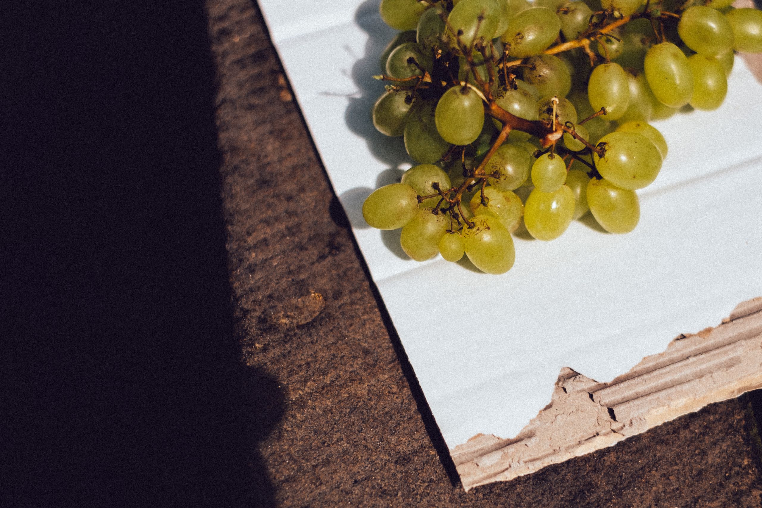 A close-up of green grapes on a textured surface, highlighting freshness and simplicity.