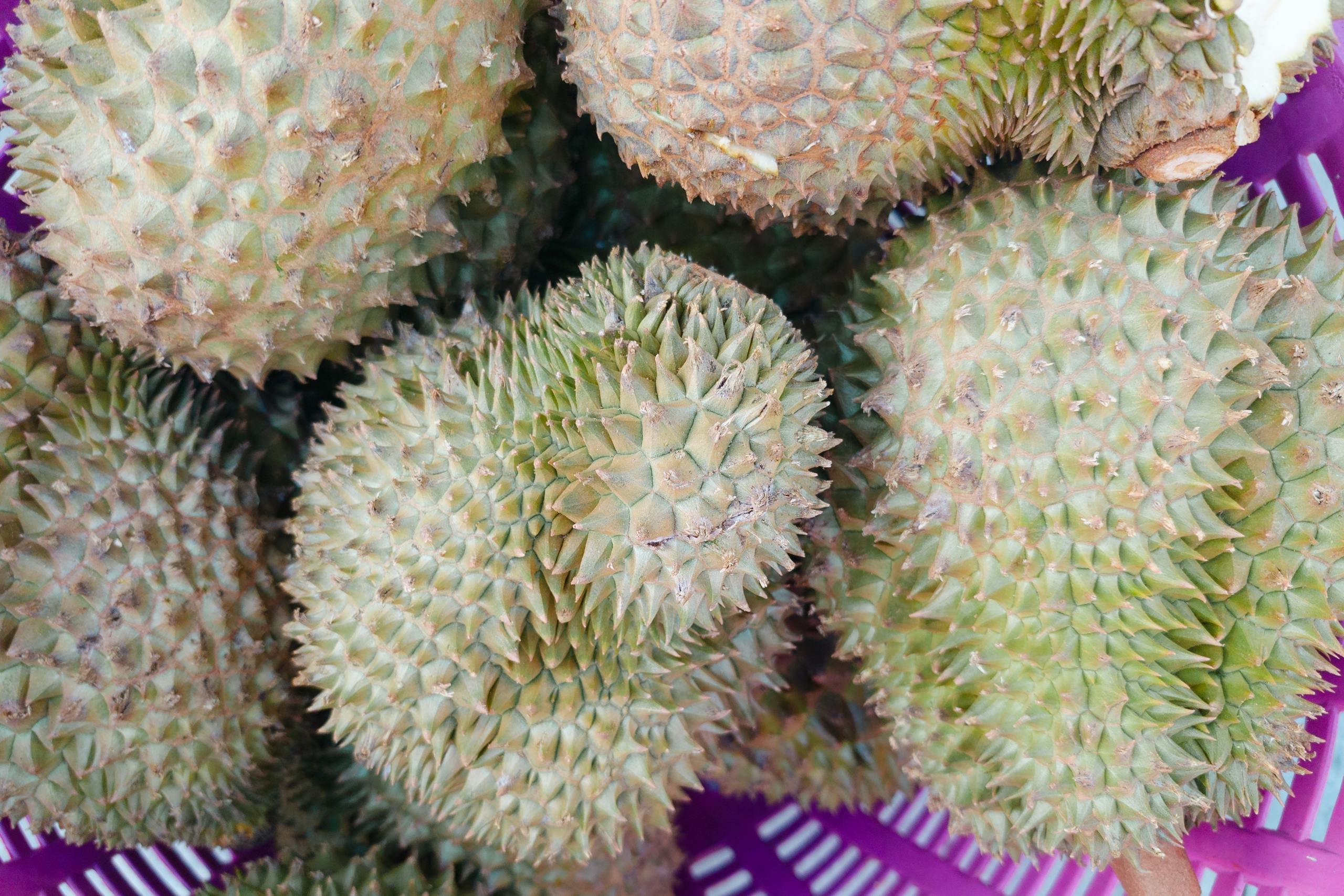 A detailed close-up of spiky durian fruits stacked in a purple basket showcasing their unique texture.