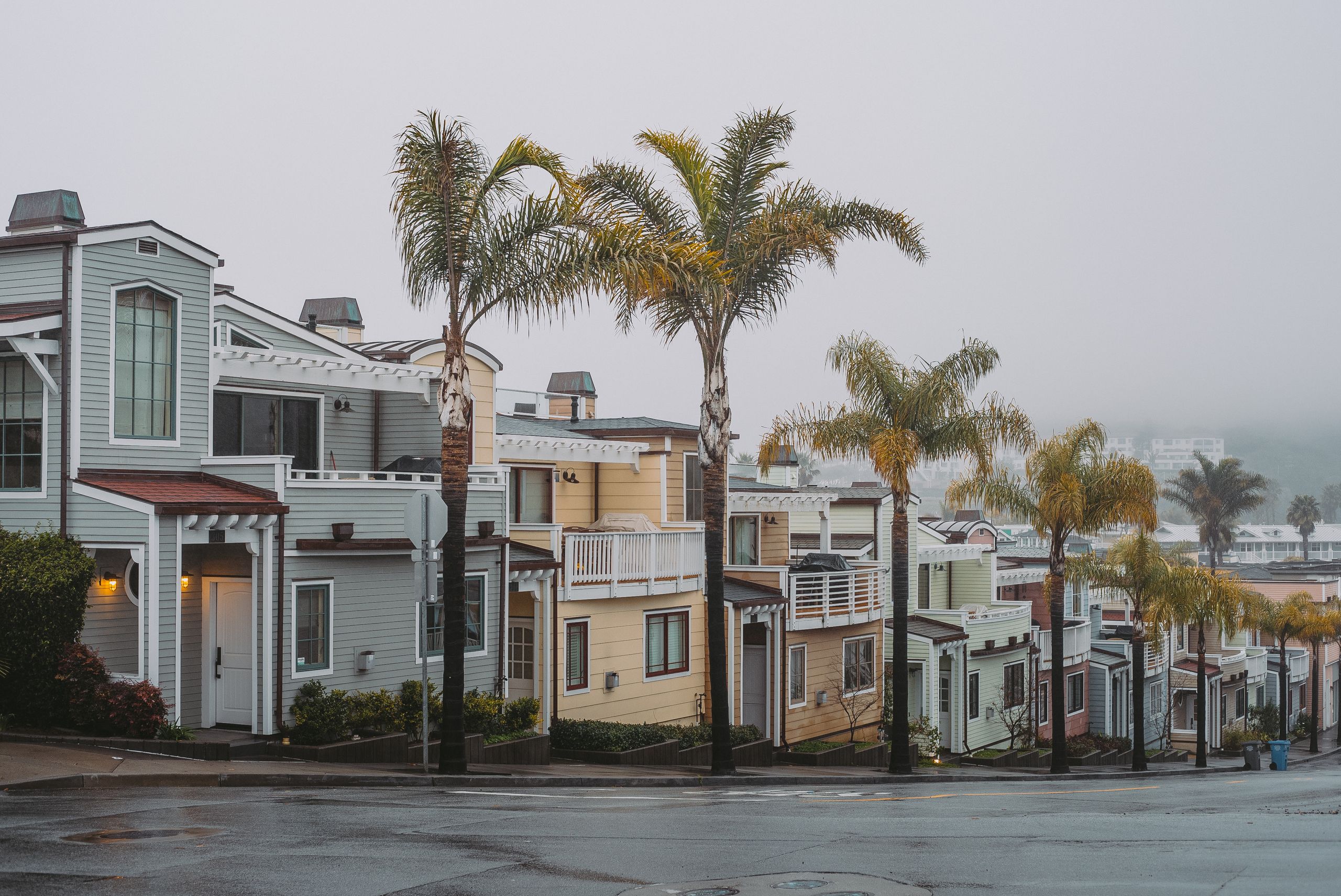 A picturesque suburban street with colorful houses and palm trees enveloped in foggy weather.