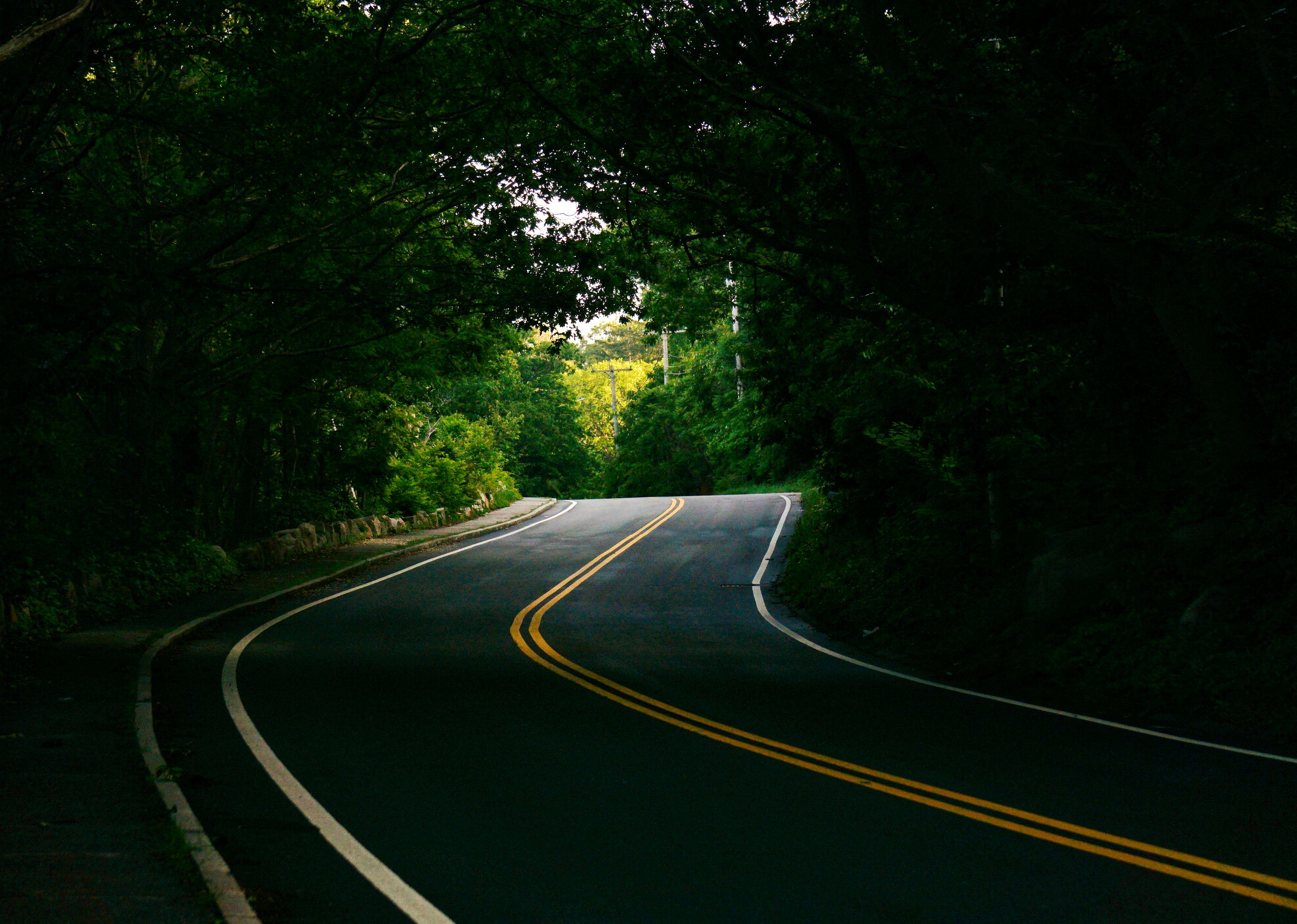 A picturesque winding road surrounded by dense green forest in Gloucester, MA, offering a serene and natural setting.