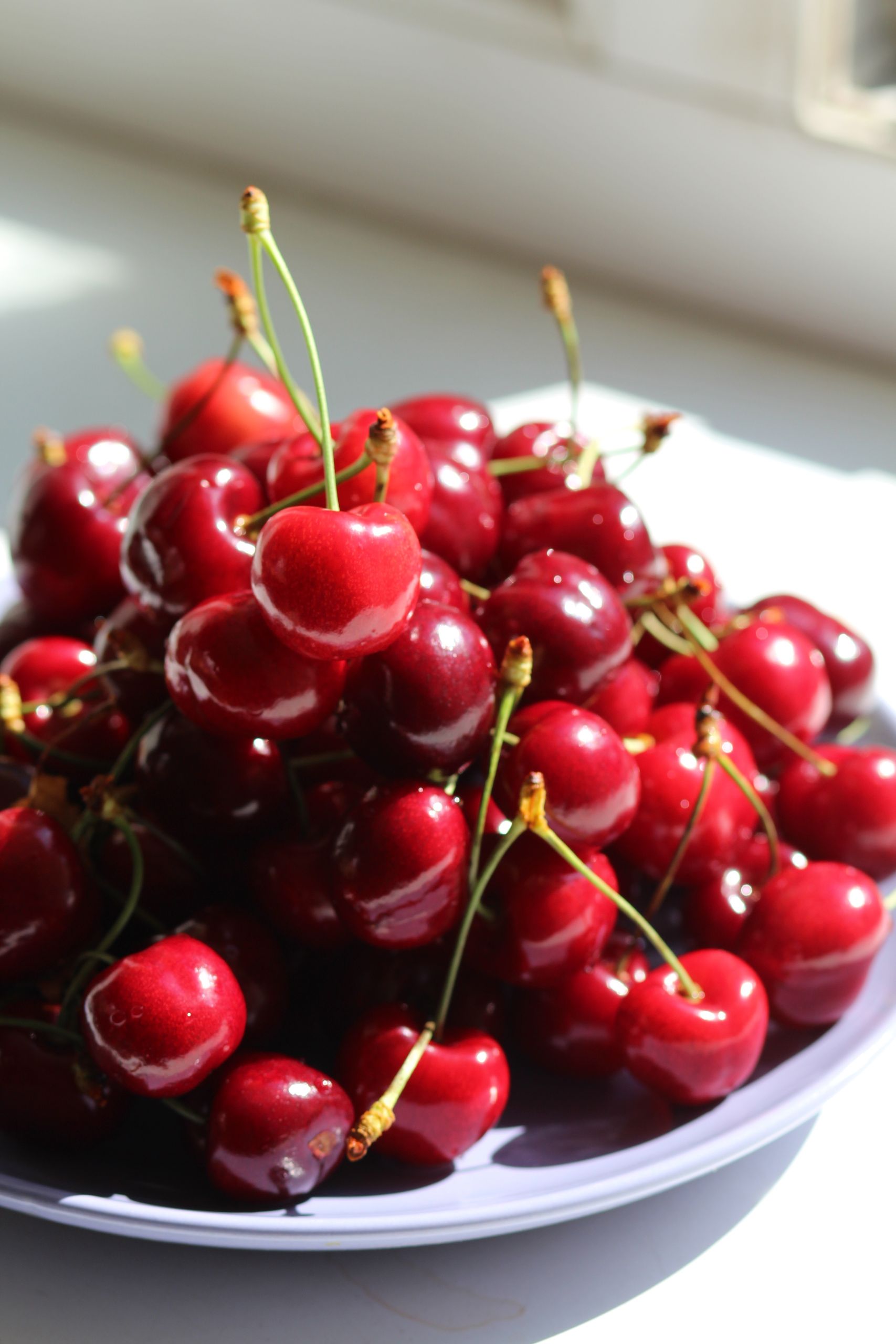 A pile of glistening red cherries with stems on a white plate, in natural sunlight.
