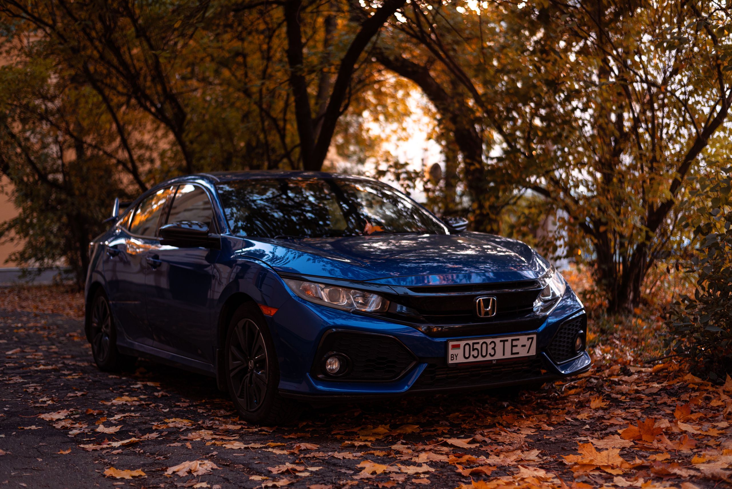 A shiny blue sedan parked on a tree-lined street surrounded by autumn leaves.
