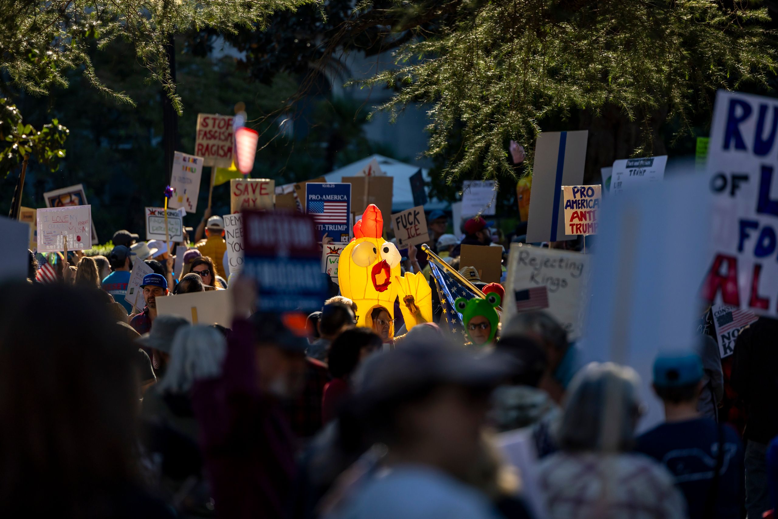A vibrant protest scene capturing various signs and symbols in downtown Sacramento.