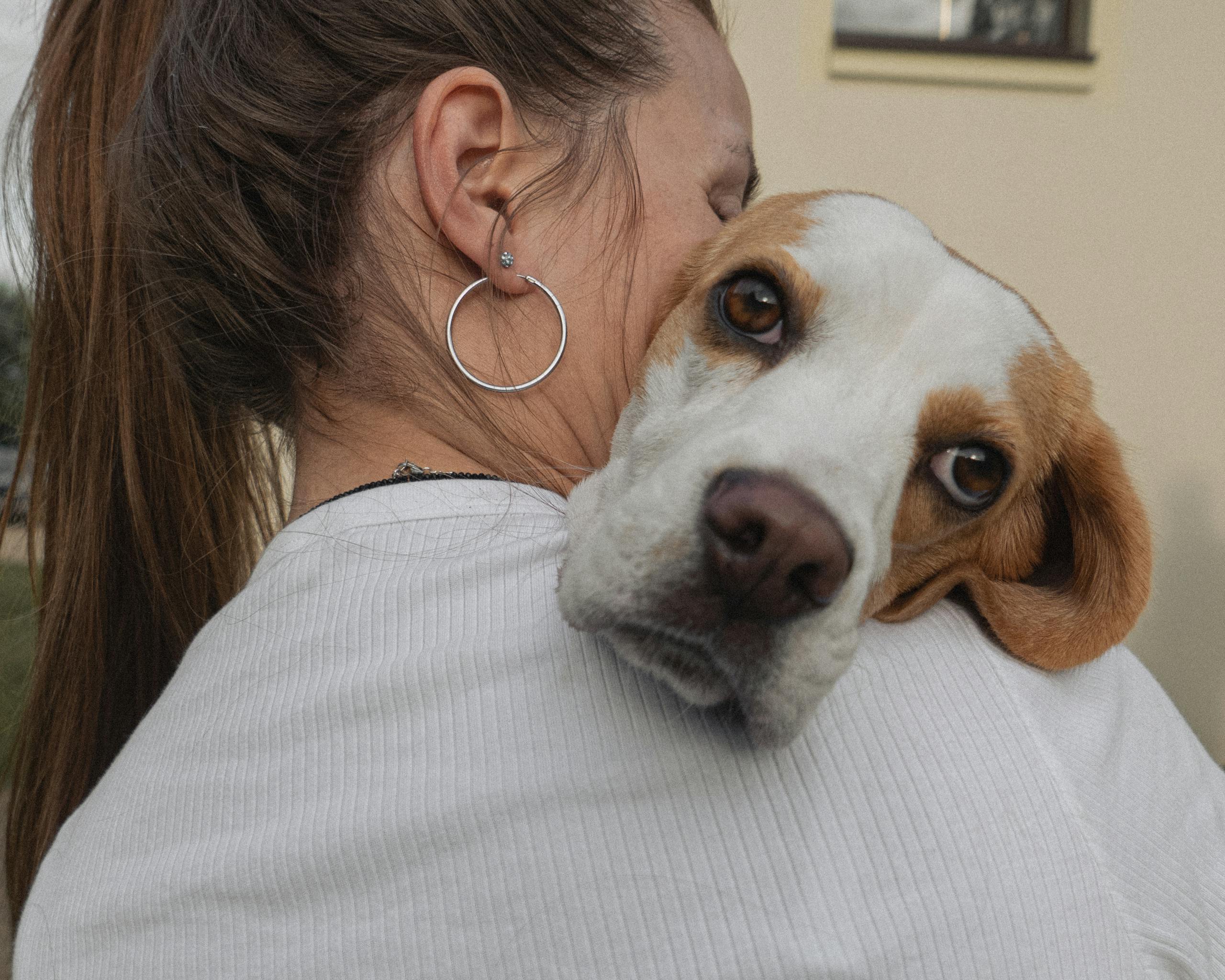 A woman lovingly embraces her beagle dog, capturing a heartwarming and affectionate moment.