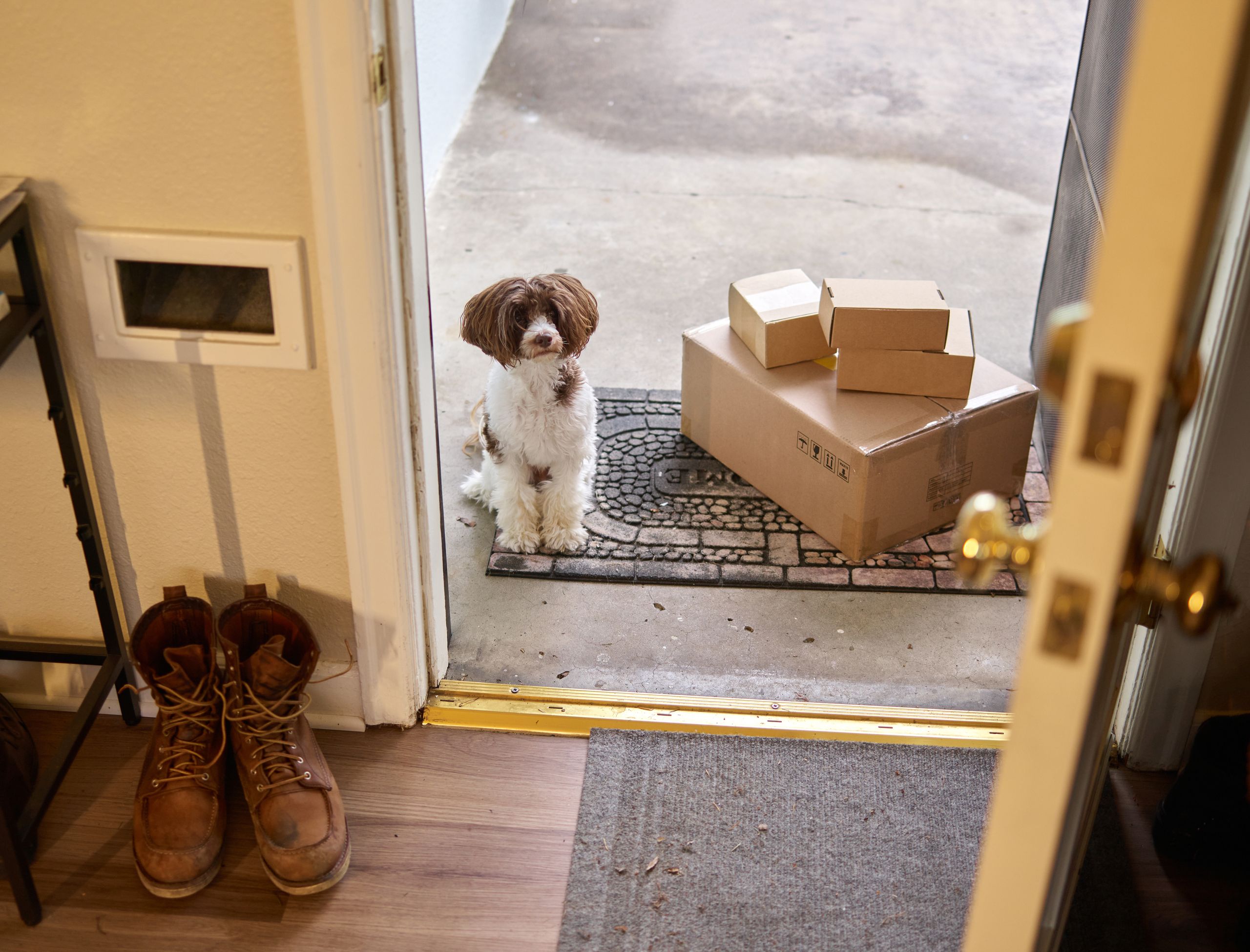 Adorable dog waiting by the door with delivered packages on the welcome mat.