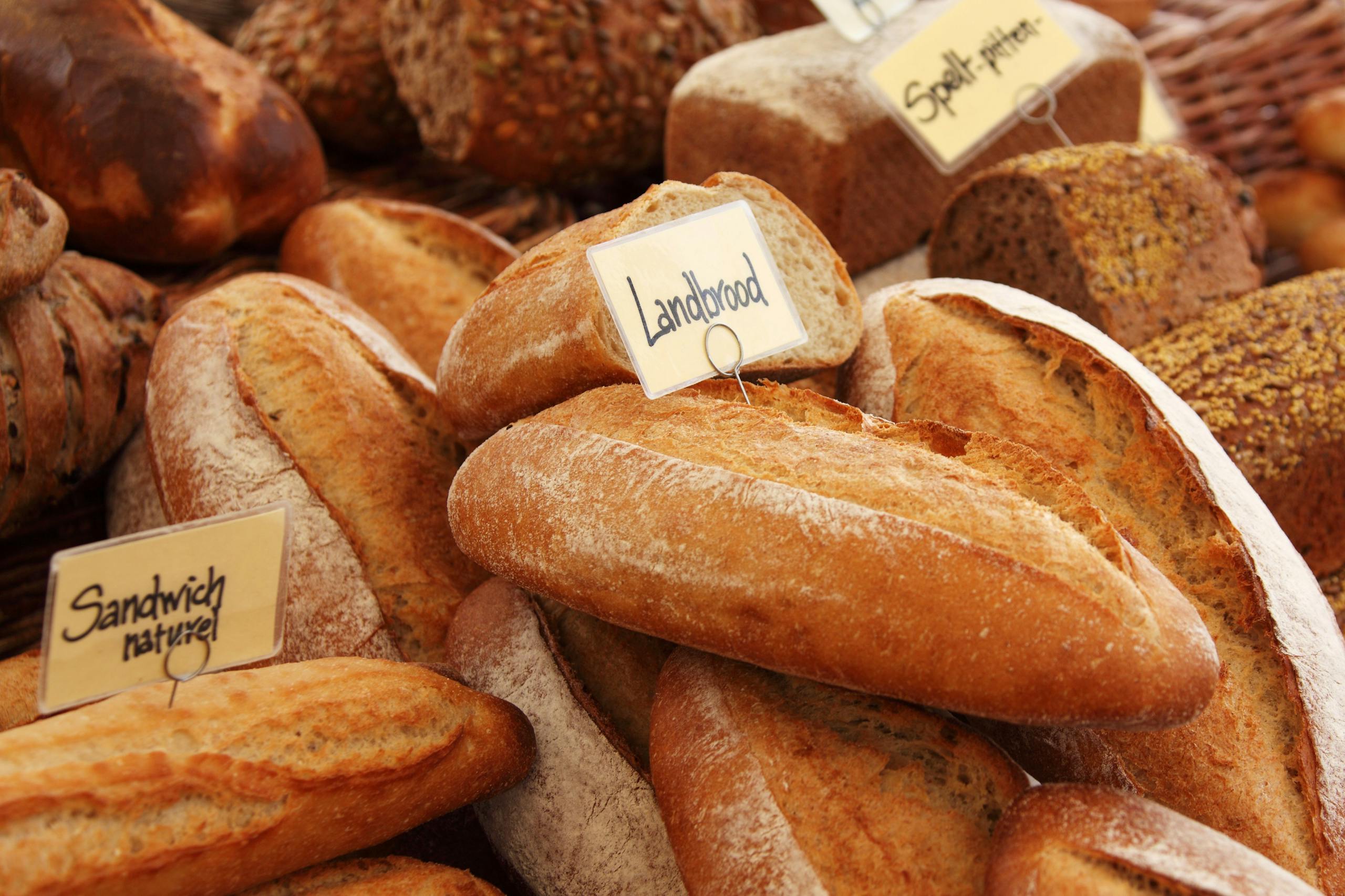 Assorted artisan bread loaves at a bakery, showcasing fresh and rustic textures.