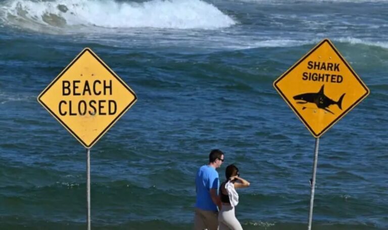 Australia’s Beach Safety Crisis Deepens After Spearfisherman Is Killed by Suspected 15 Foot Shark