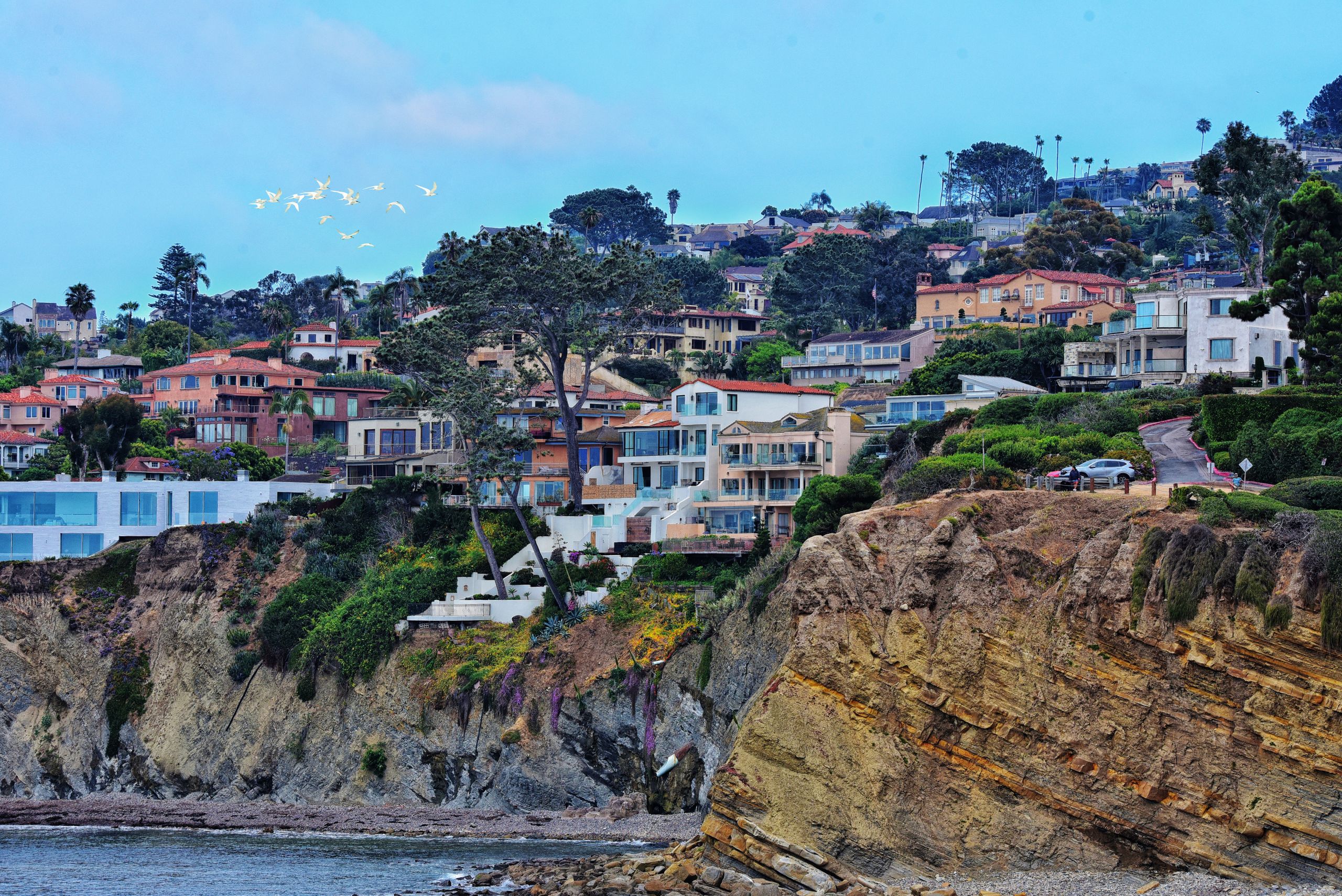 Beautiful cliffside homes in San Diego, California, with the ocean below and birds flying overhead.