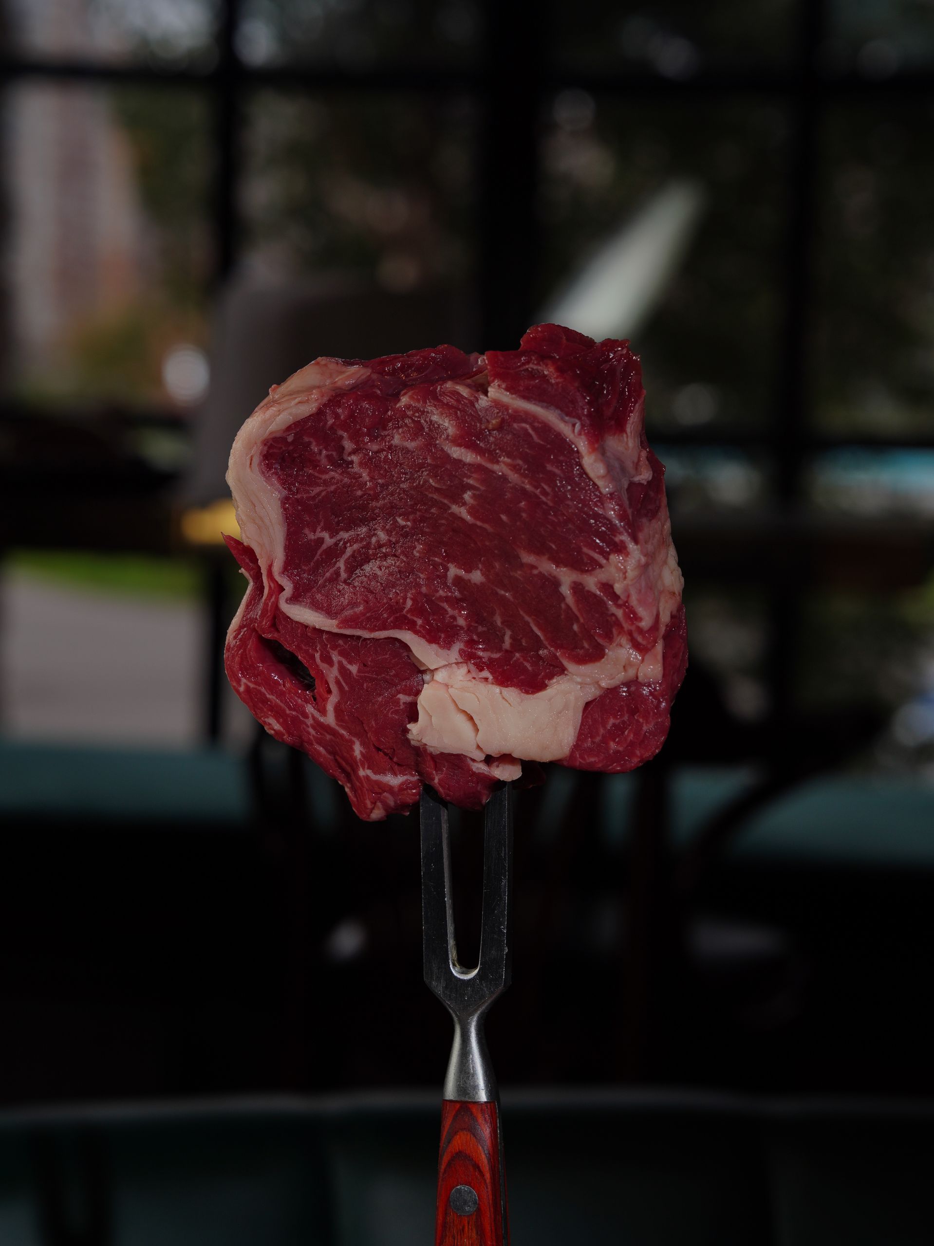 Close-up of a raw ribeye steak on a fork in a dark indoor setting.