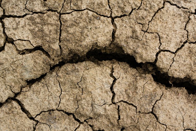Close-up of cracked earth highlighting drought and climate change in Chitrashali, India.