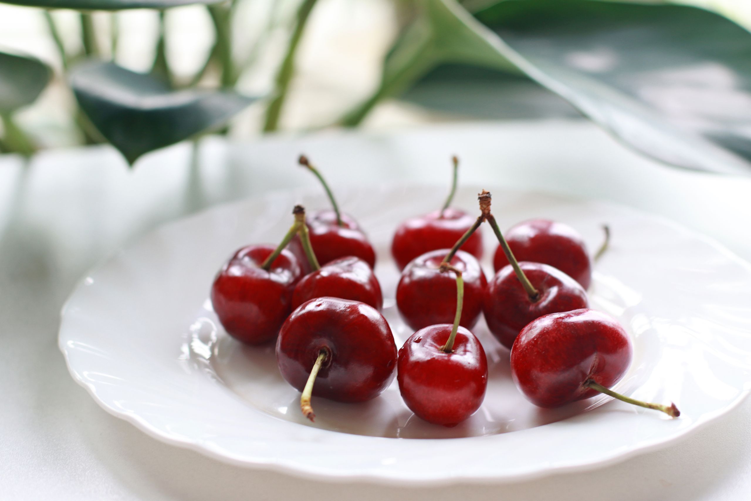 Close-up of fresh red cherries on a ceramic plate with blurred green leaves in the background.