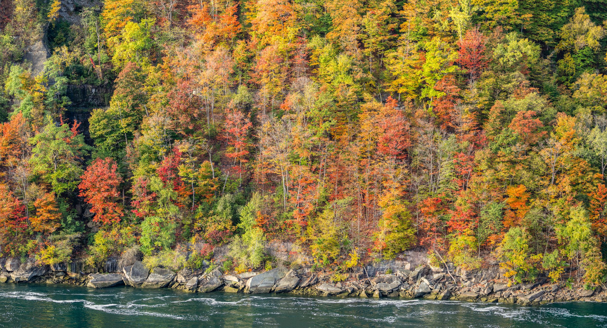 Colorful autumn forest with a rocky riverbank, showcasing a vibrant fall landscape.
