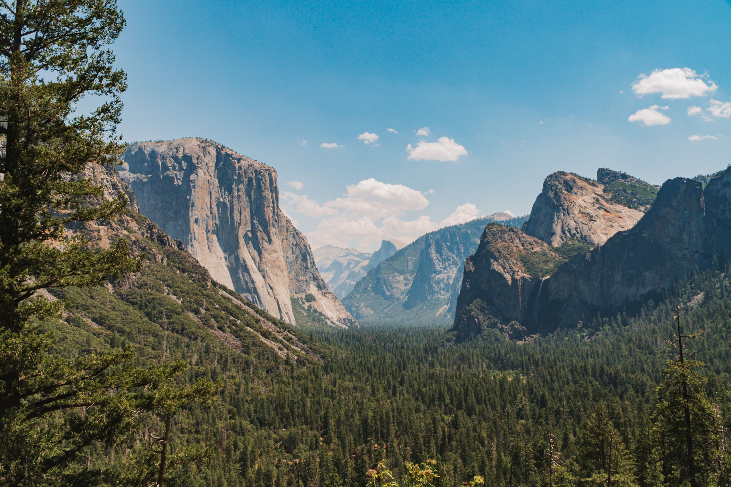 Majestic Yosemite Valley landscape with towering cliffs under a clear summer sky.
